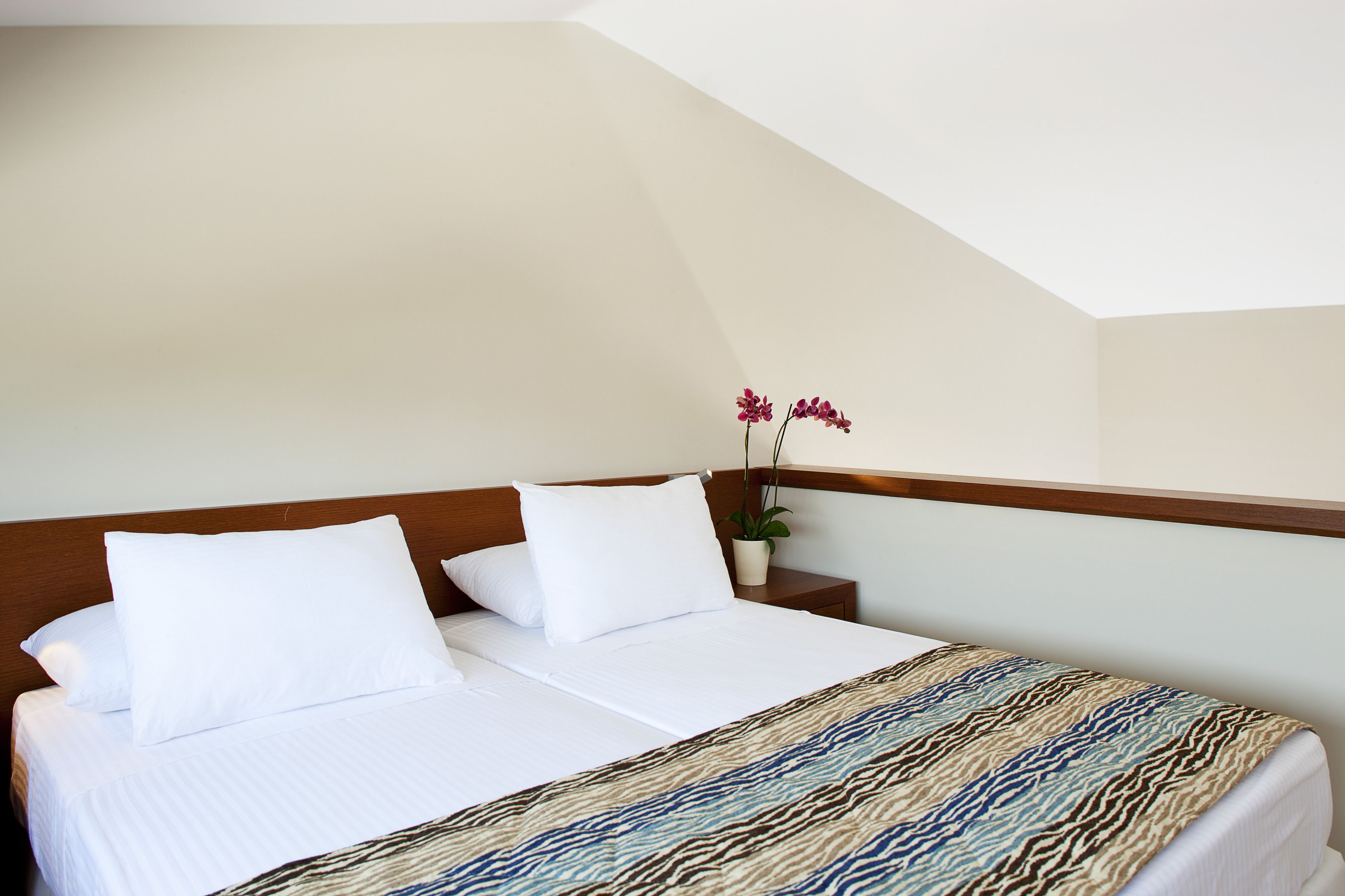 Apollonion Asterias Resort & Spa