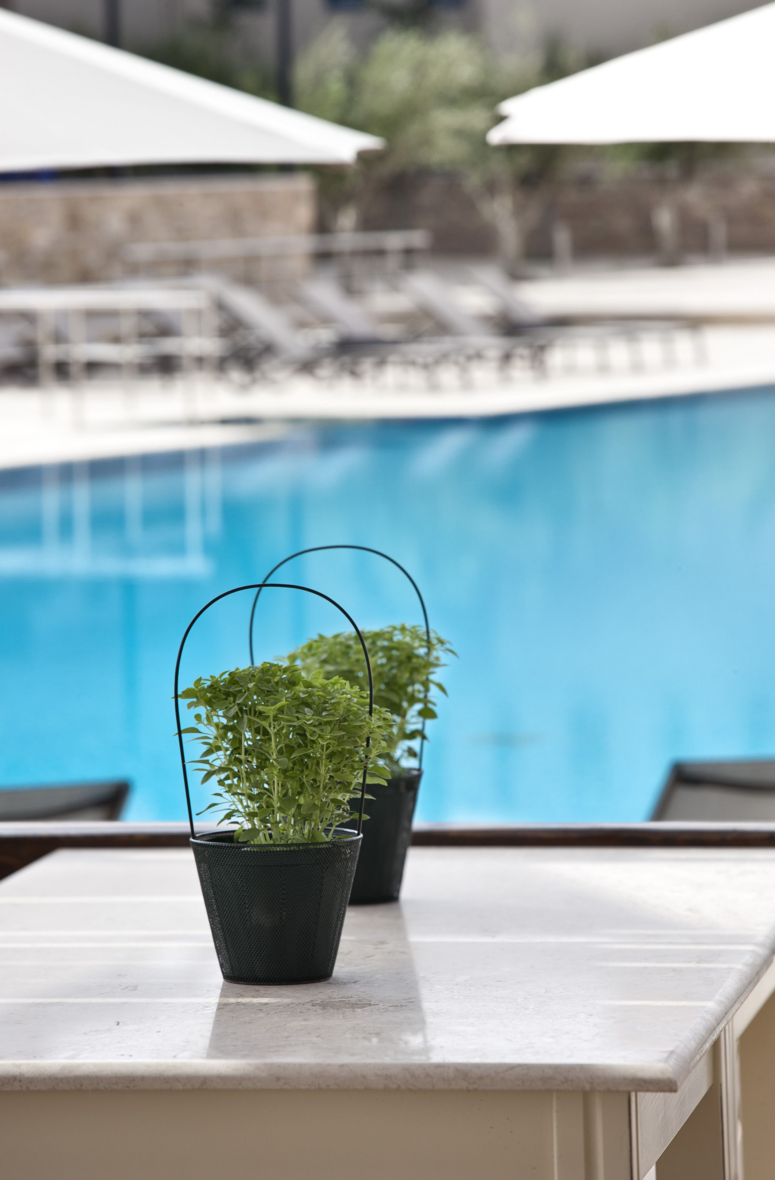 Apollonion Asterias Resort & Spa