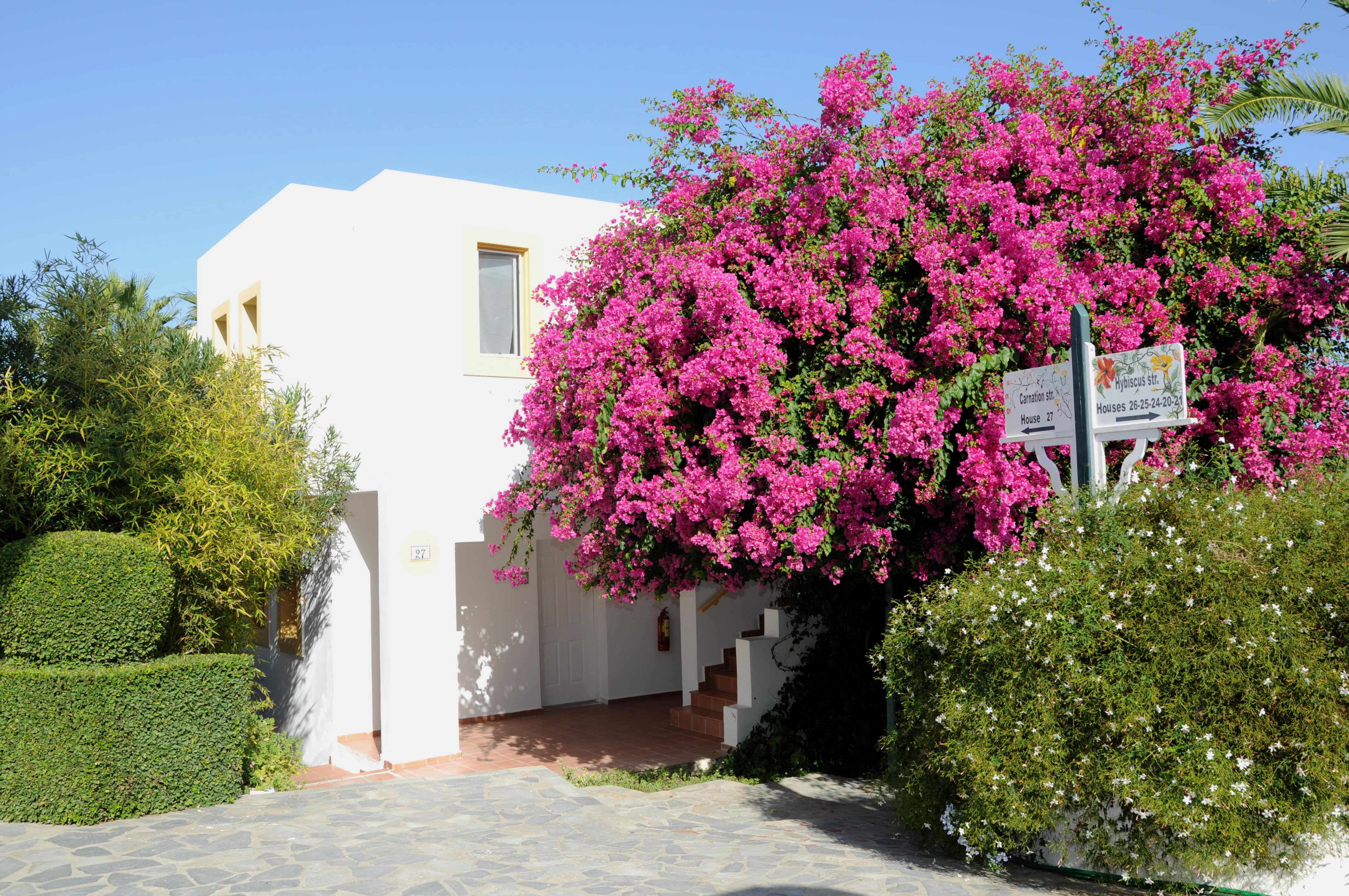 Mastichari Bay Hotel & Family Suites