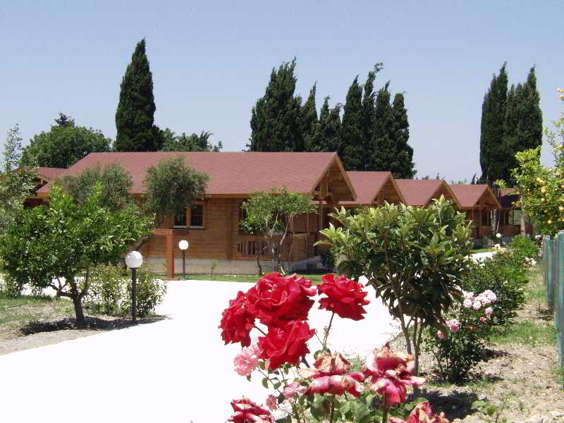 Sandy's Studios & Log-Villas