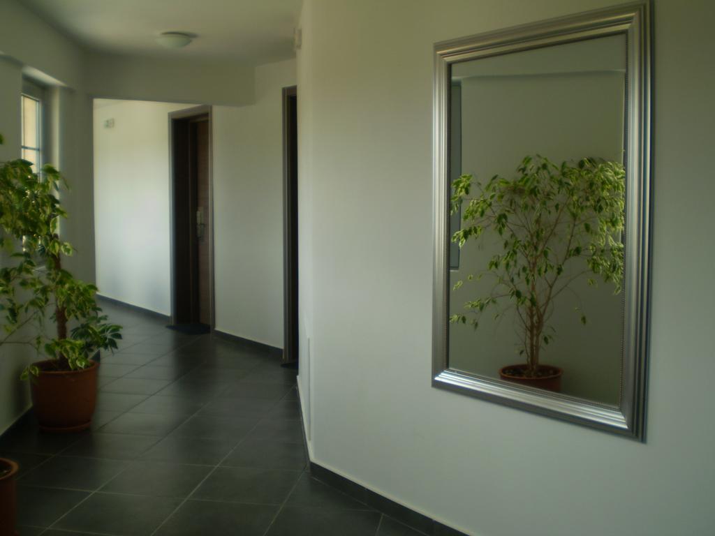 Athena Luxury