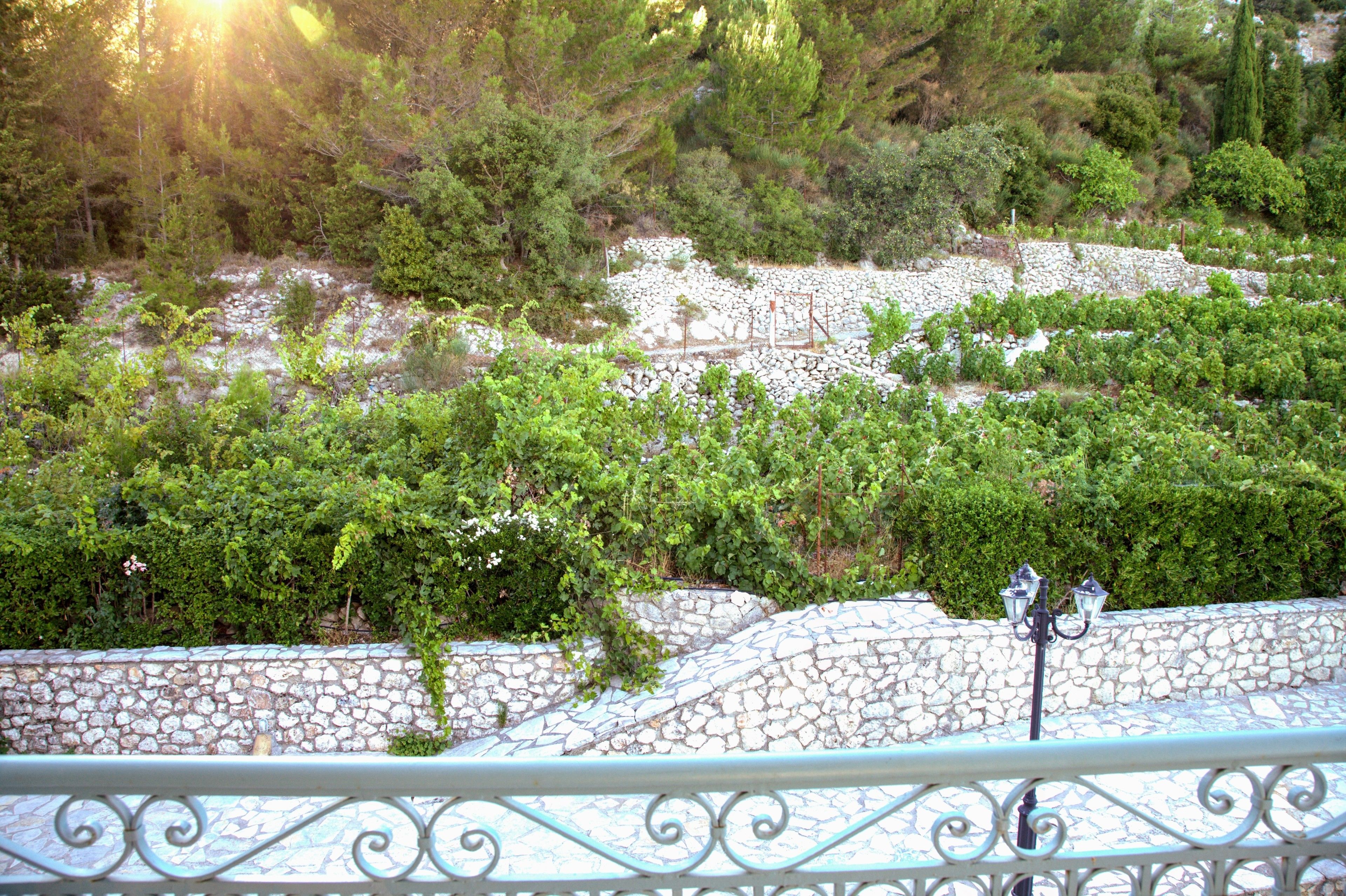 Estate Dafnopanagia Studio Ourania