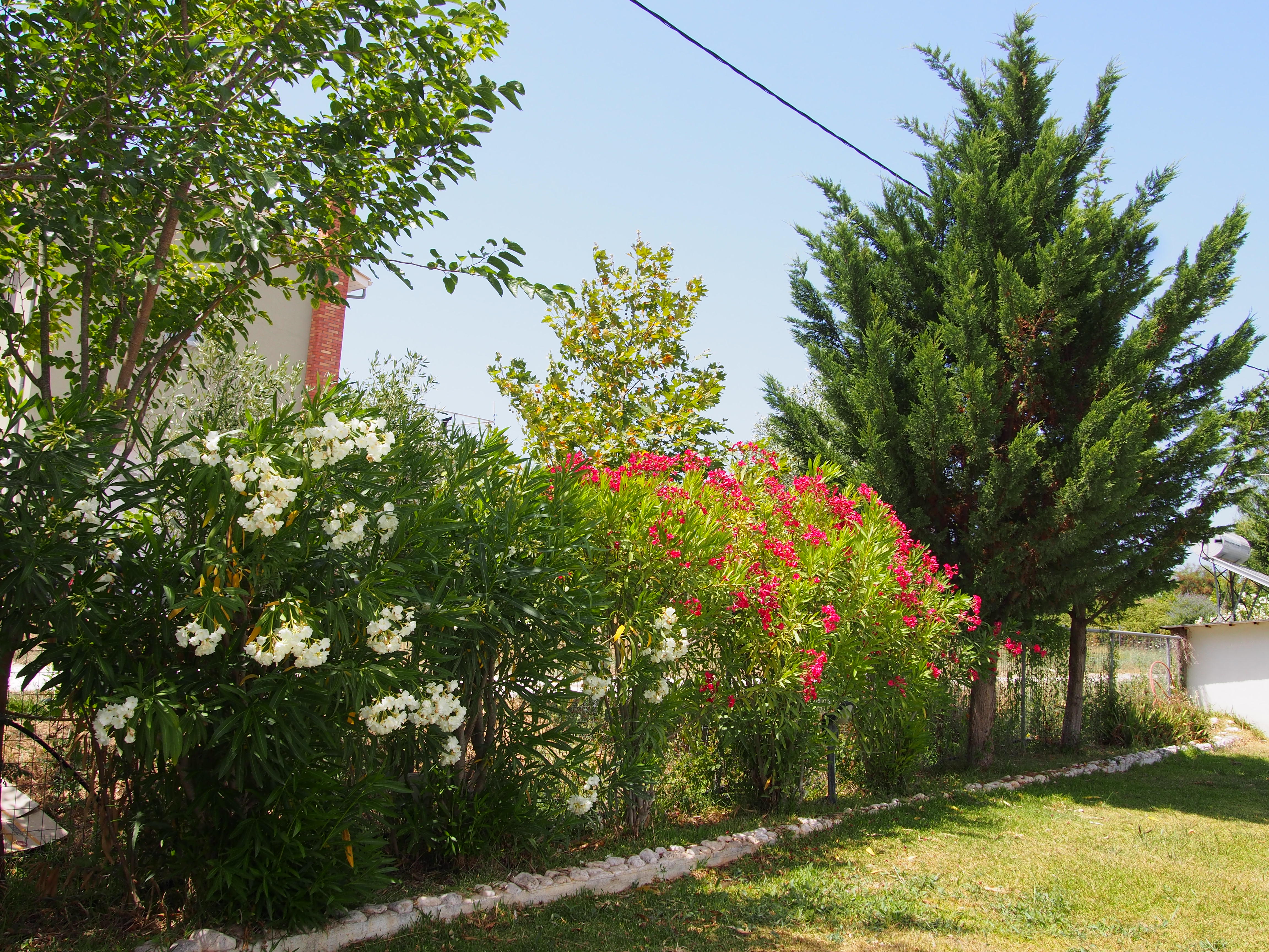 Gyra Villas