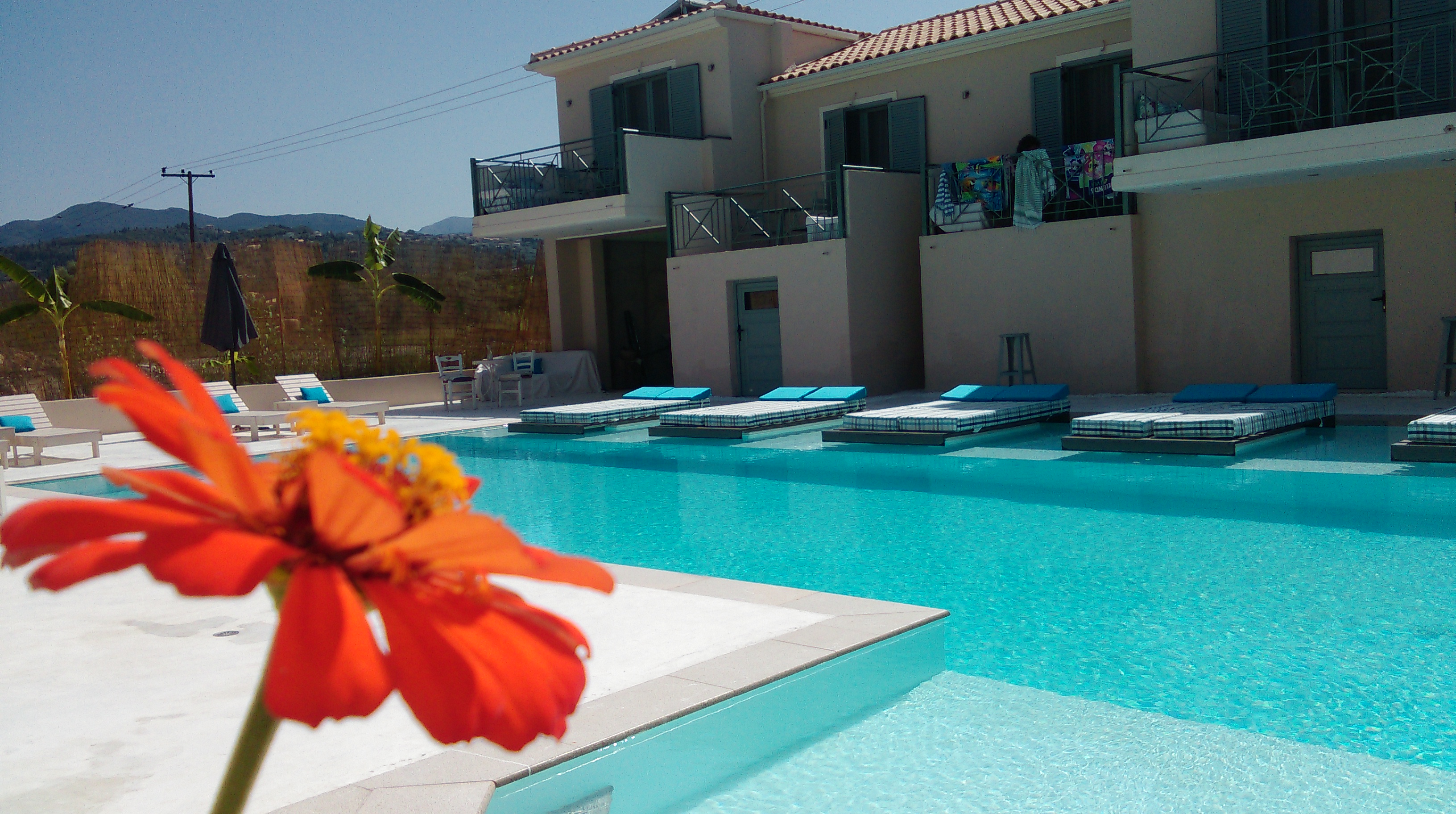 Villa Olga Lux Apartments & Studios