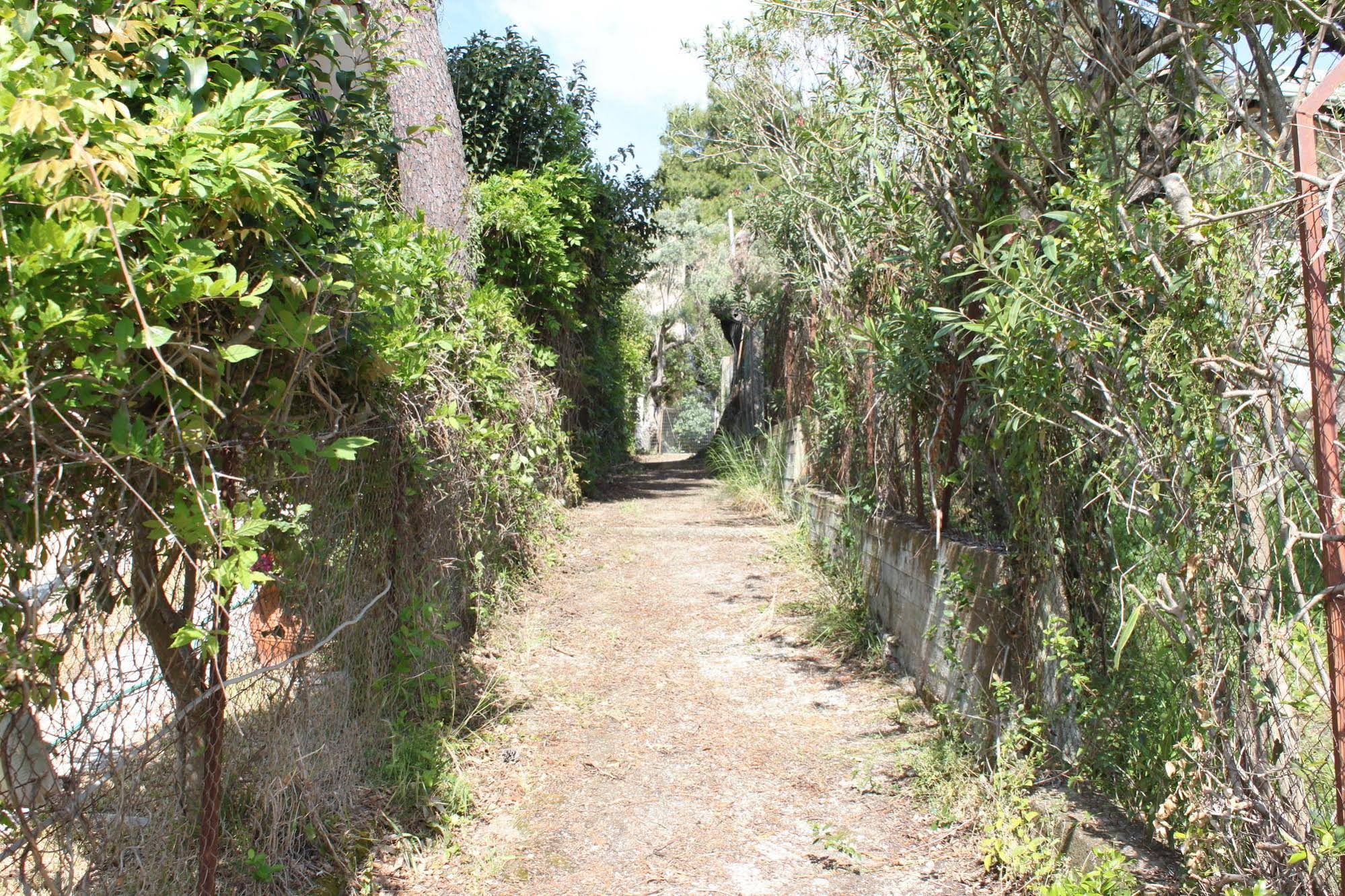 Lefkada Summer House