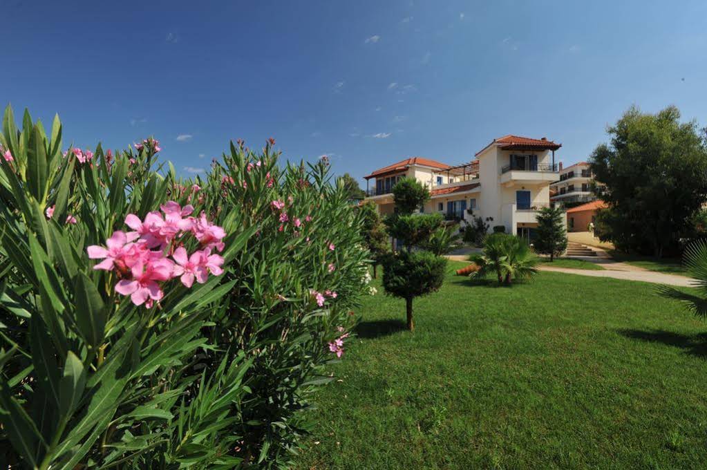 Studios Fereniki