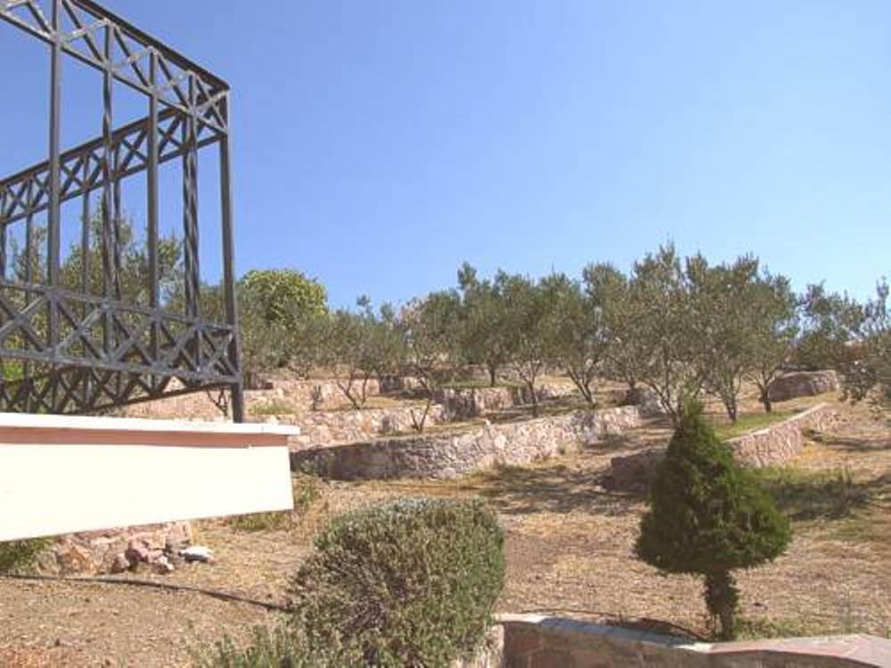 Eleftheria Apartments