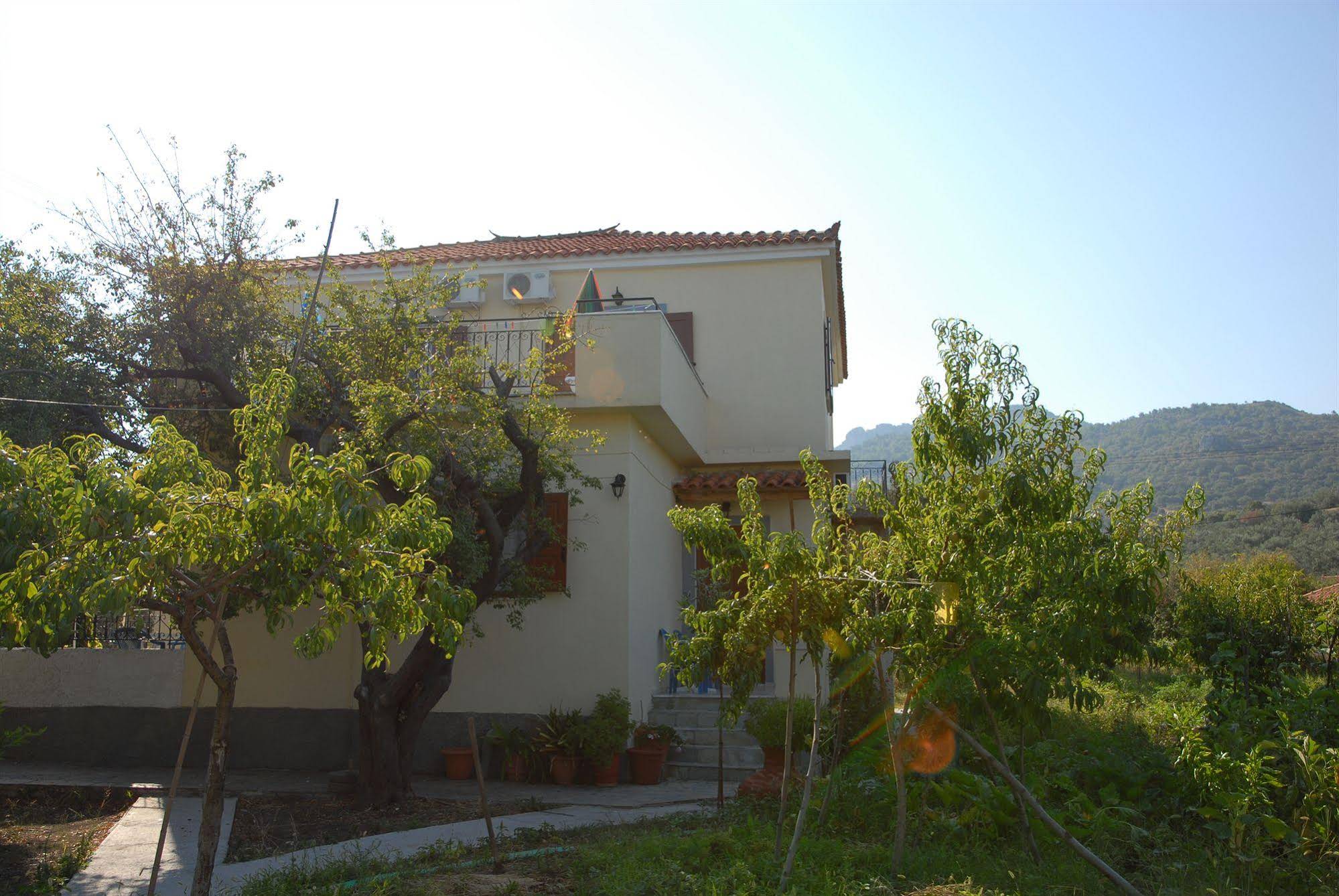 Vassilis Studios
