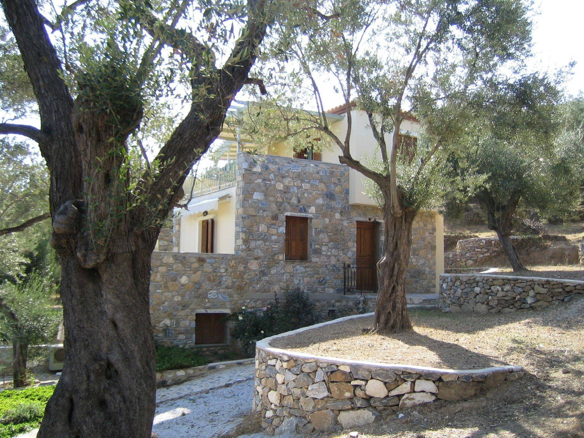 Gera's Olive Grove