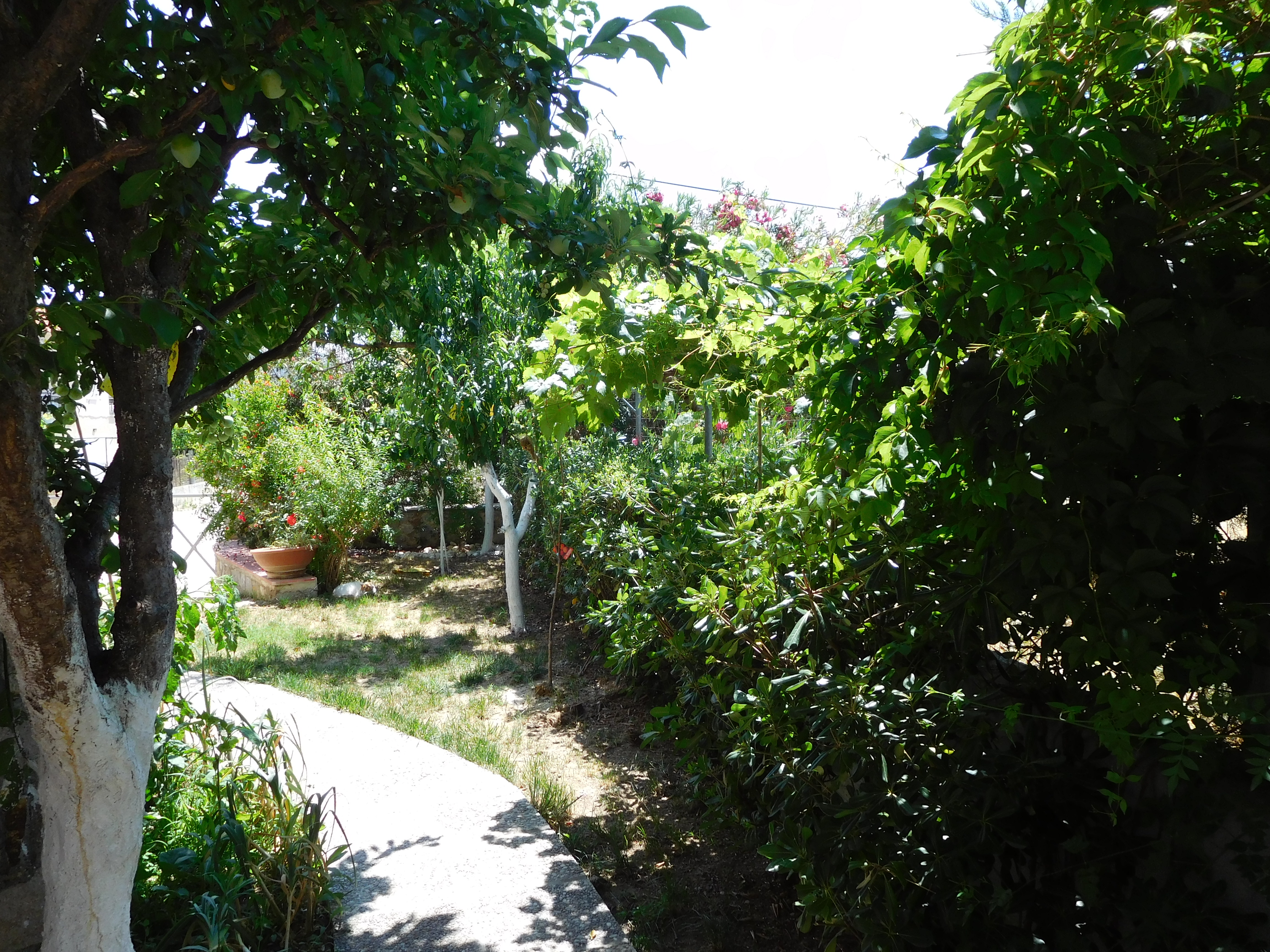 Aeolis Apartements & Studios
