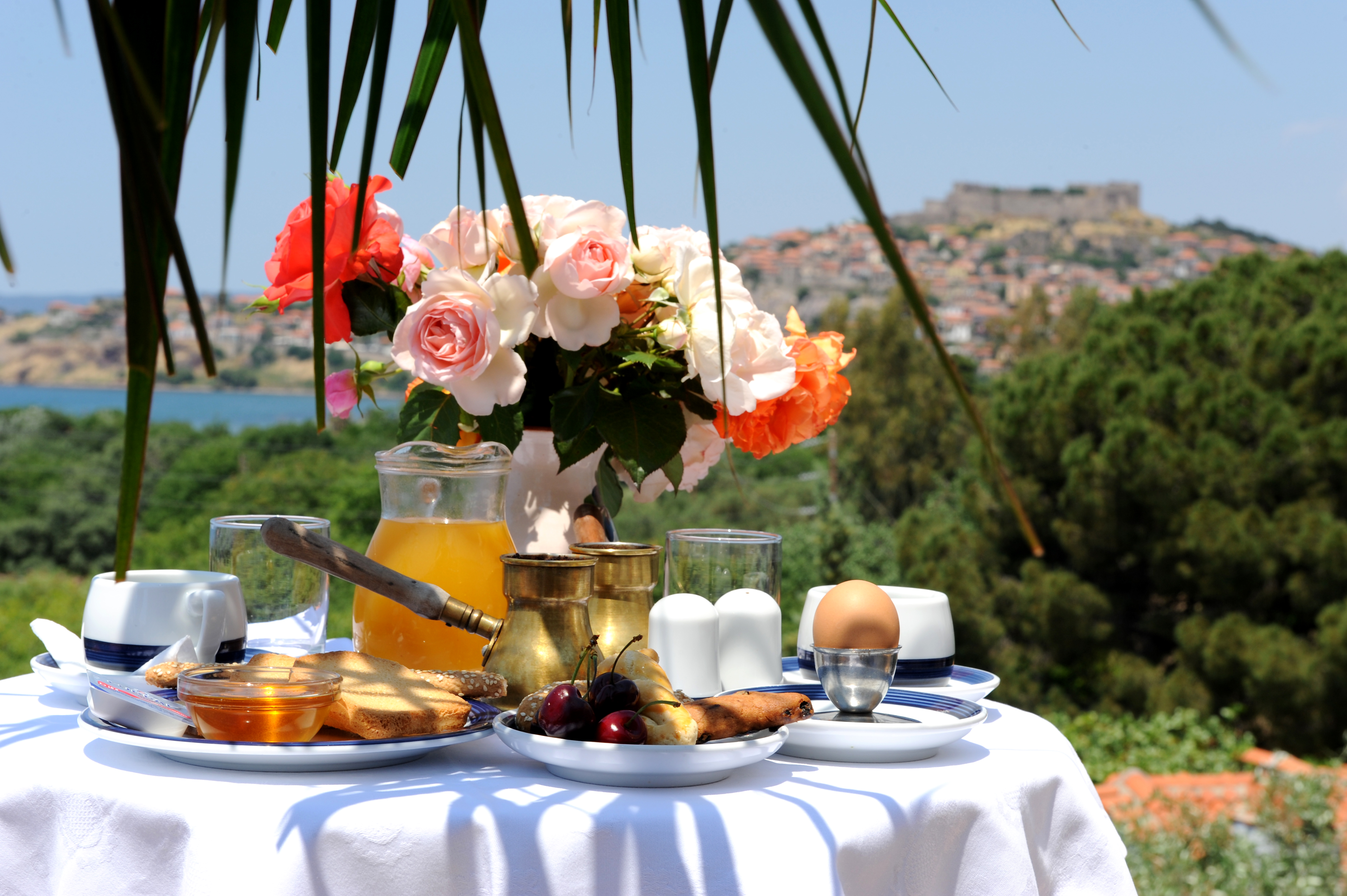 Delfinia Hotel & Bungalows