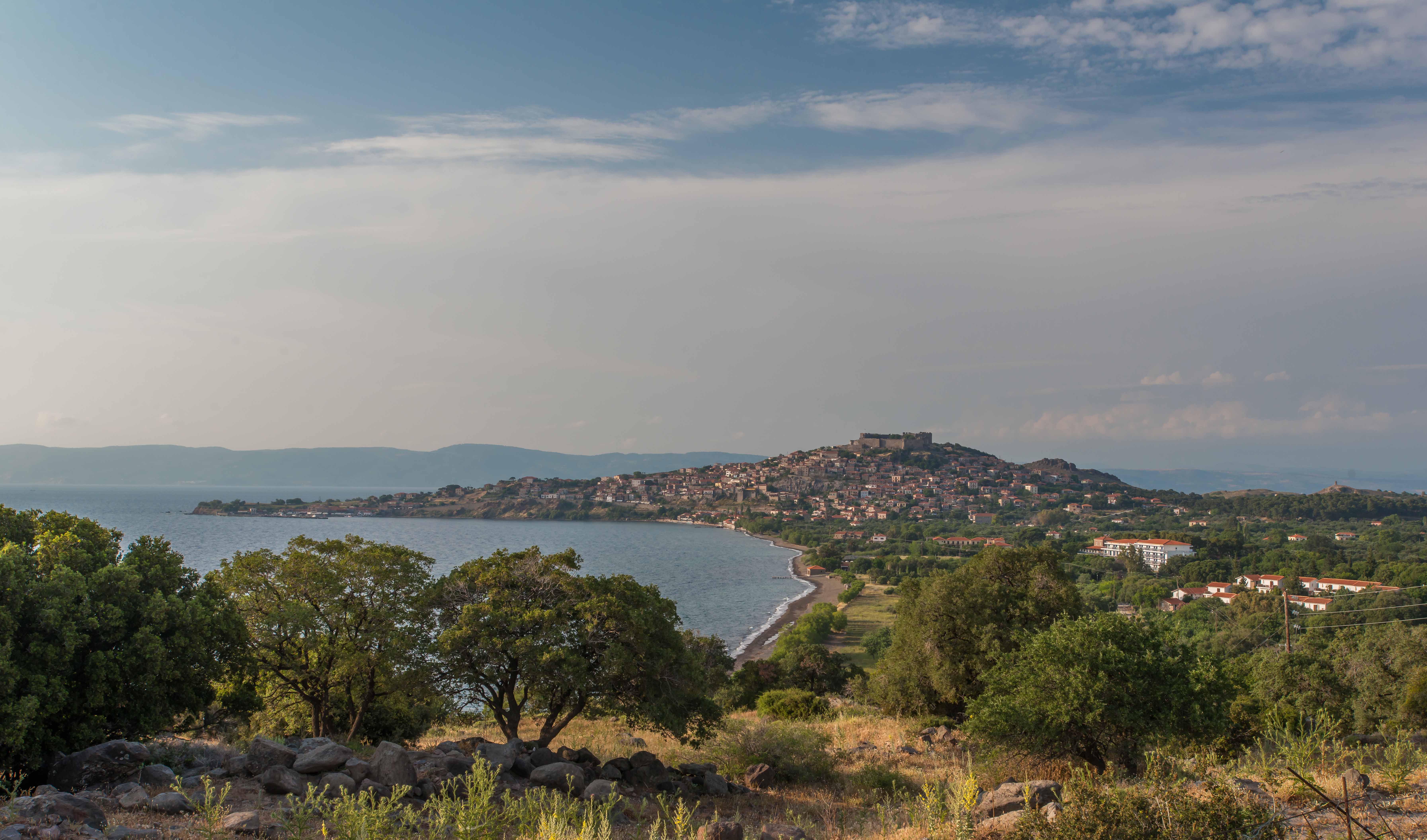 Delfinia Hotel & Bungalows