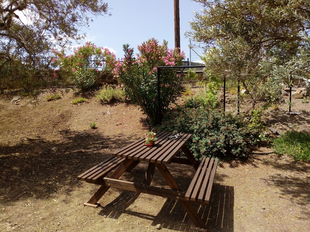 Molyvos View Studios