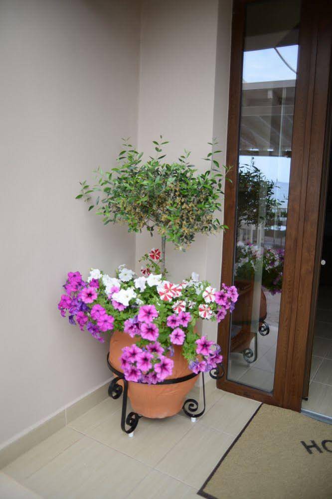 Sappho Hotel