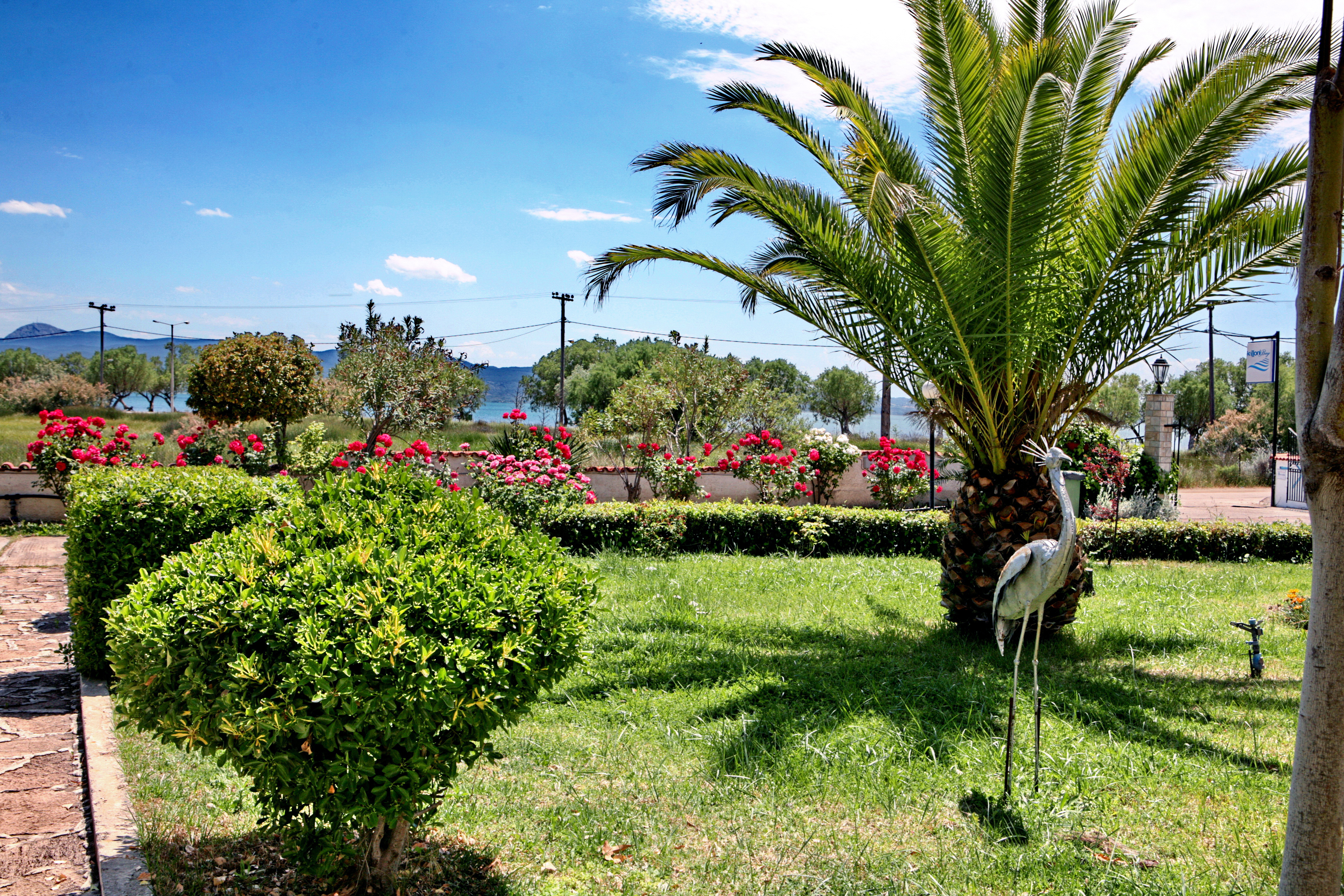 Kalloni Bay