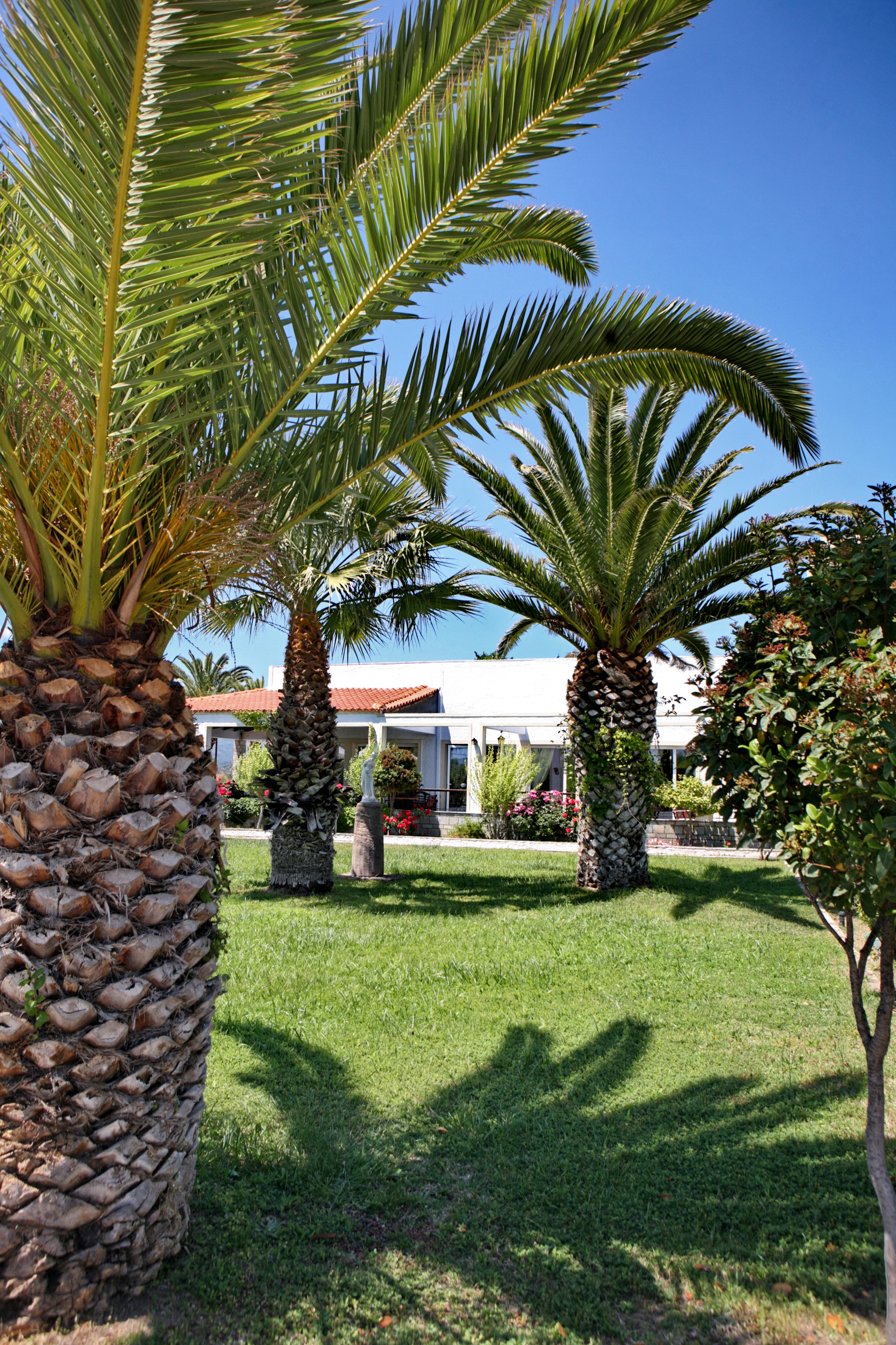 Kalloni Bay