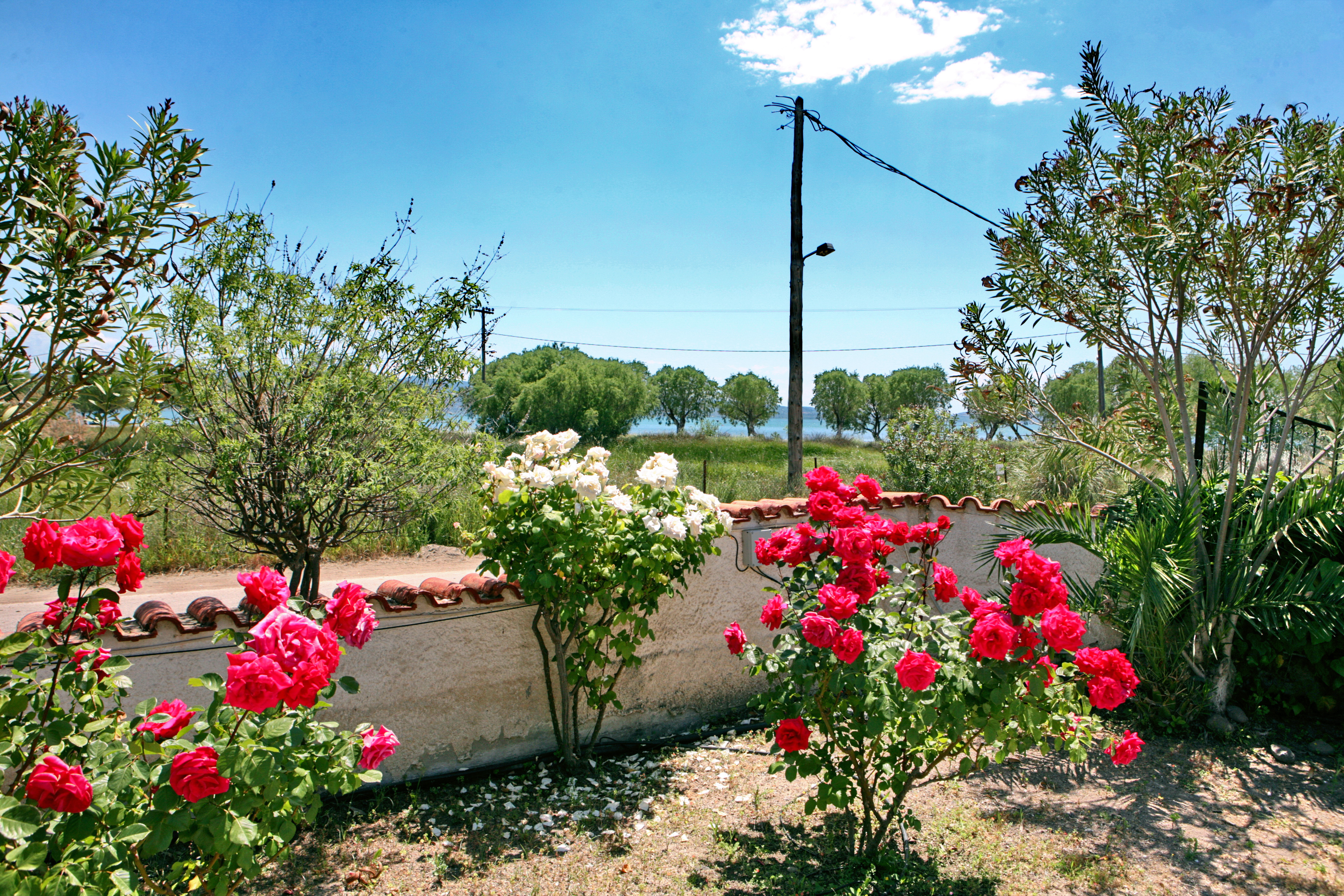 Kalloni Bay