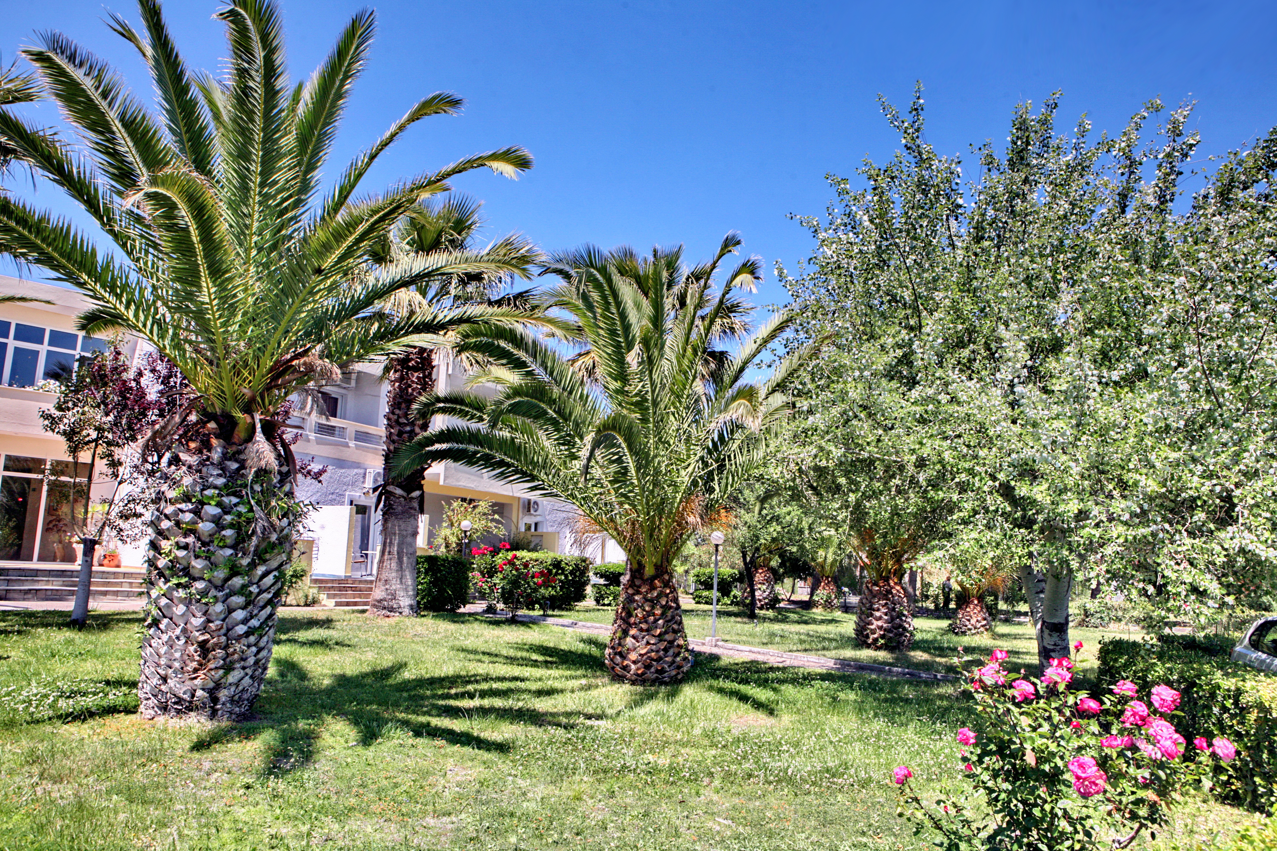 Kalloni Bay