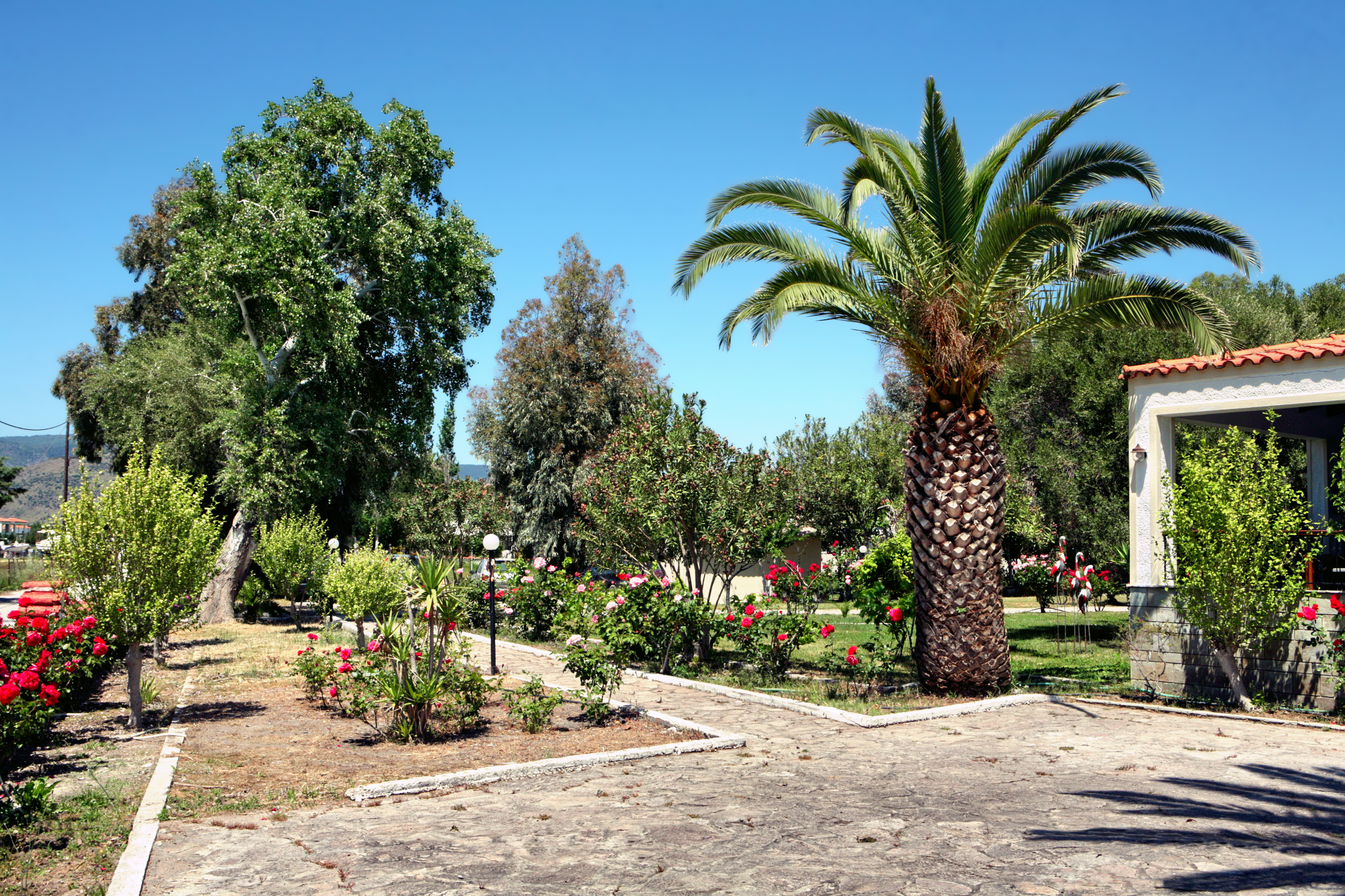 Kalloni Bay