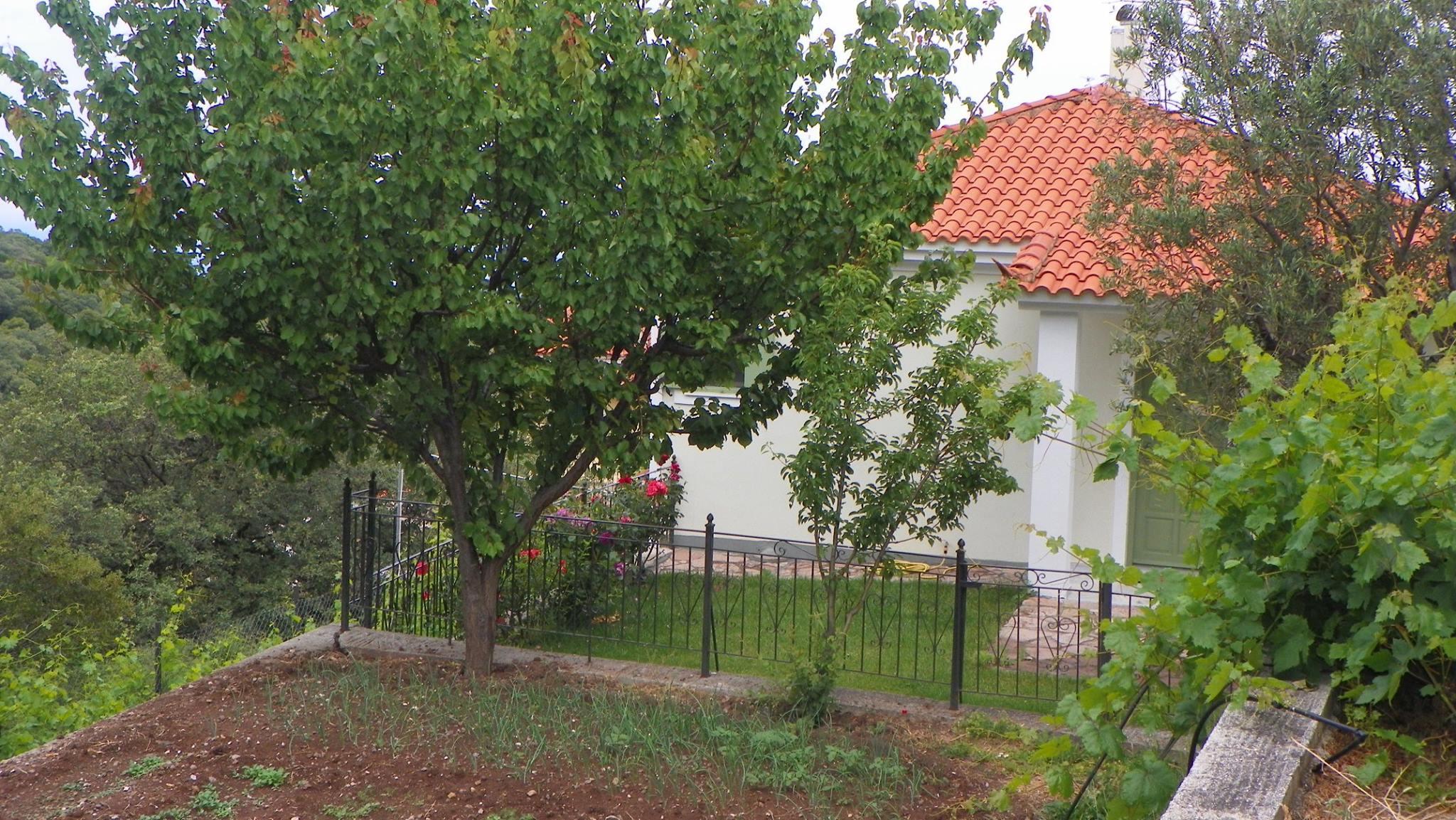 Villen Vafios