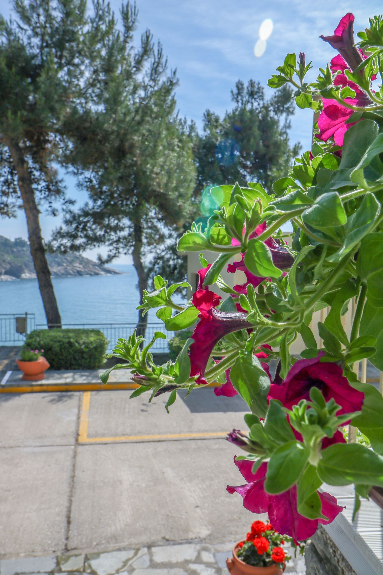 Tosca Beach Hotel