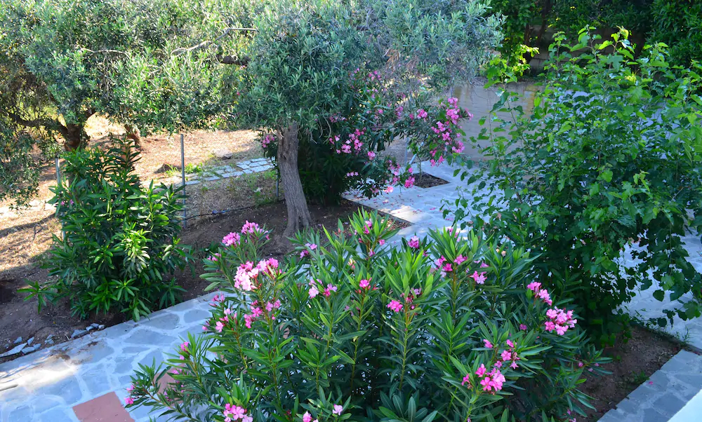 Villa Siesta