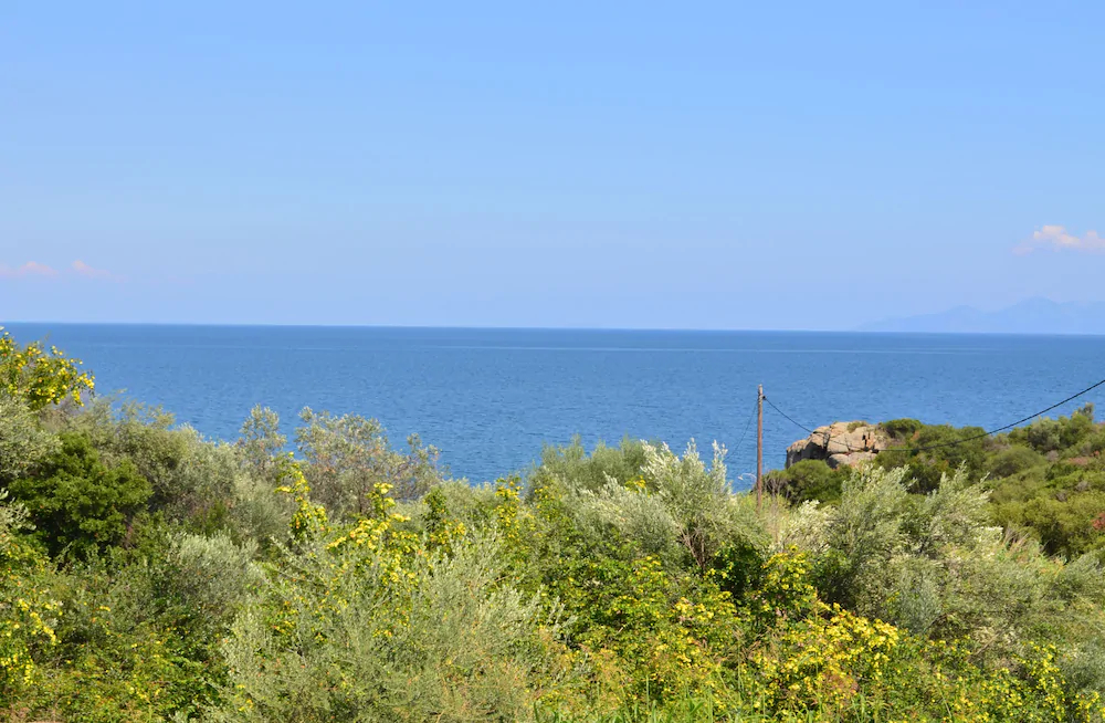 Villa Siesta