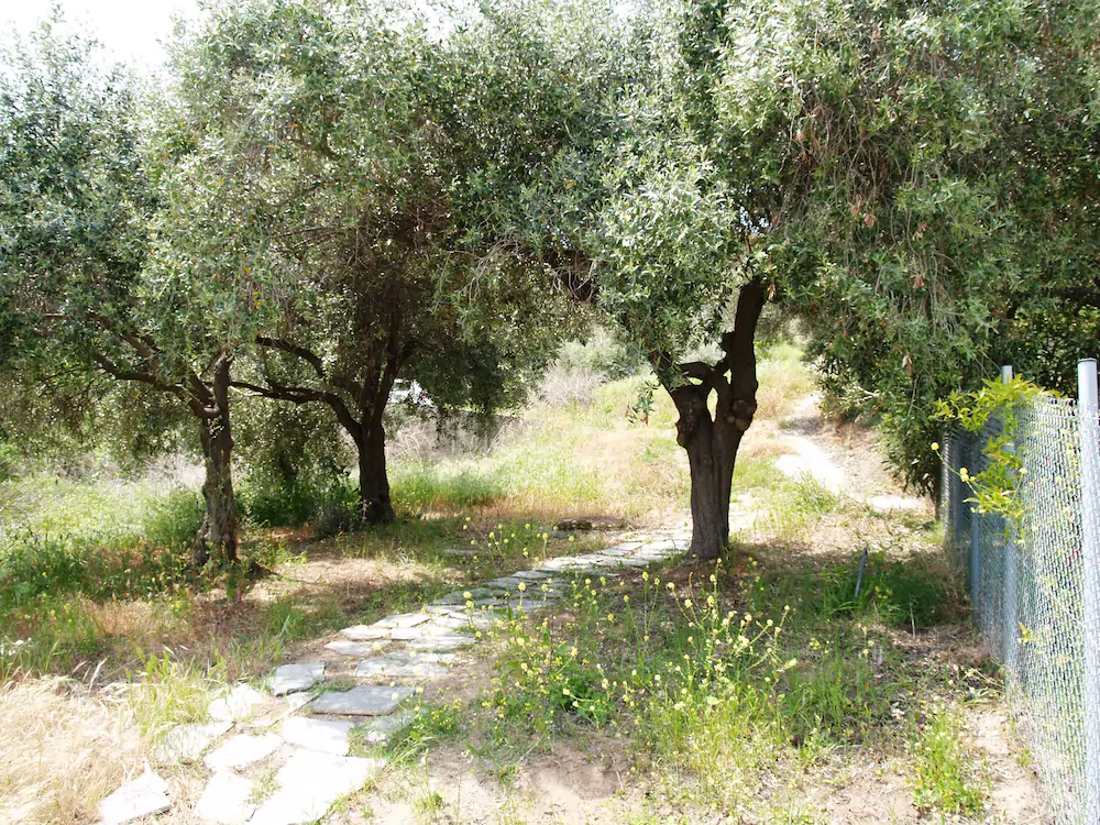 Villa Siesta