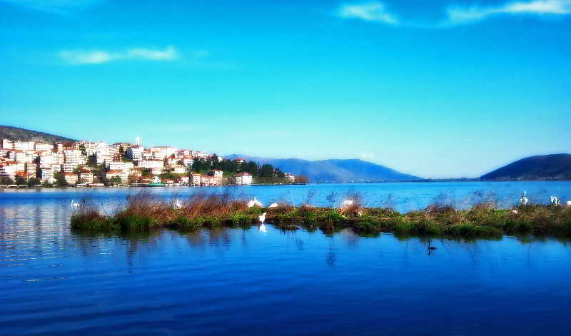 Afkos Grammos Hotel