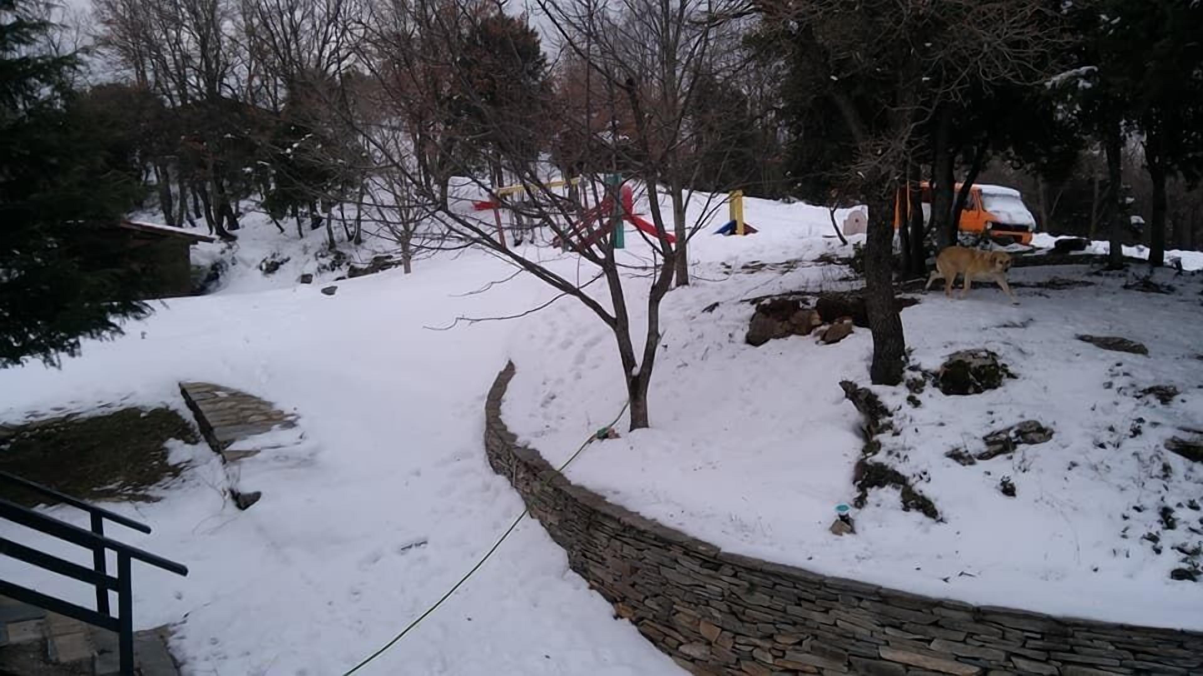 Pangeo Forest Village