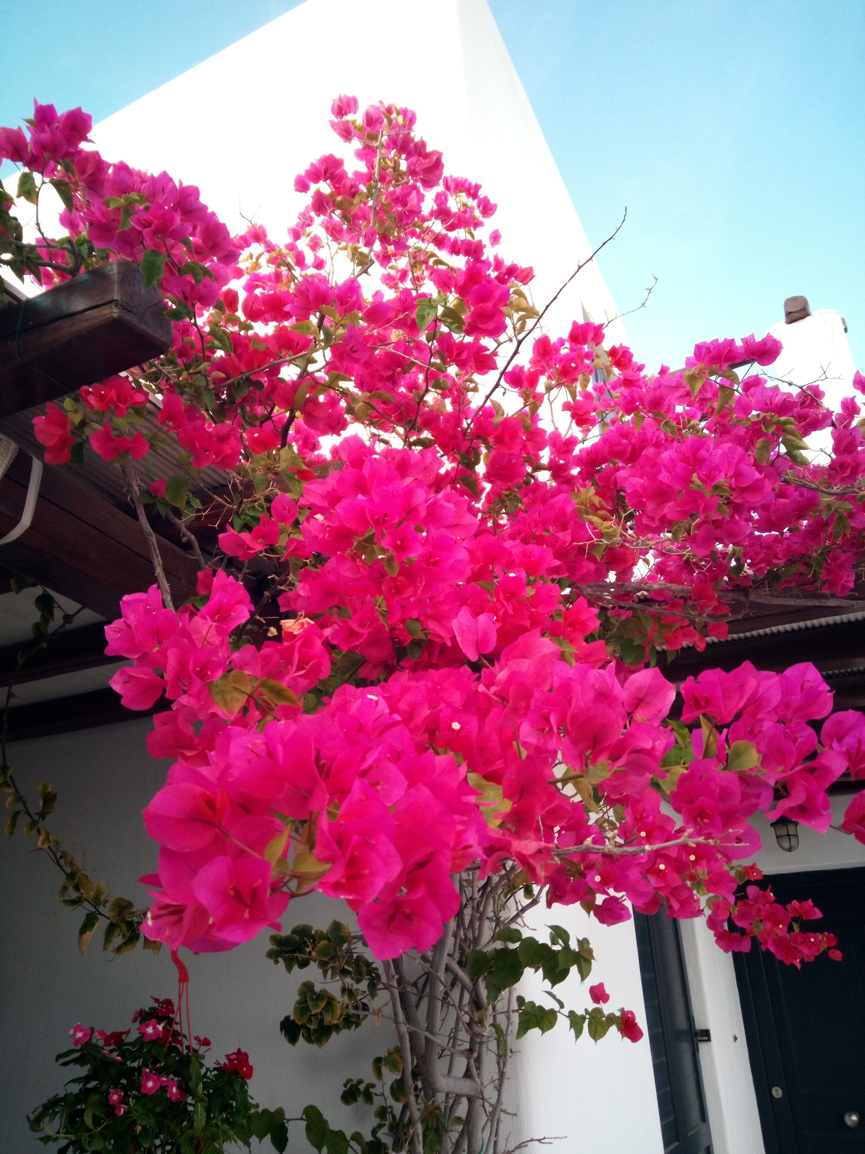 Siourdas Mykonos Villas