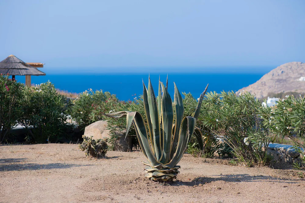 Khamsa Mykonian Suites