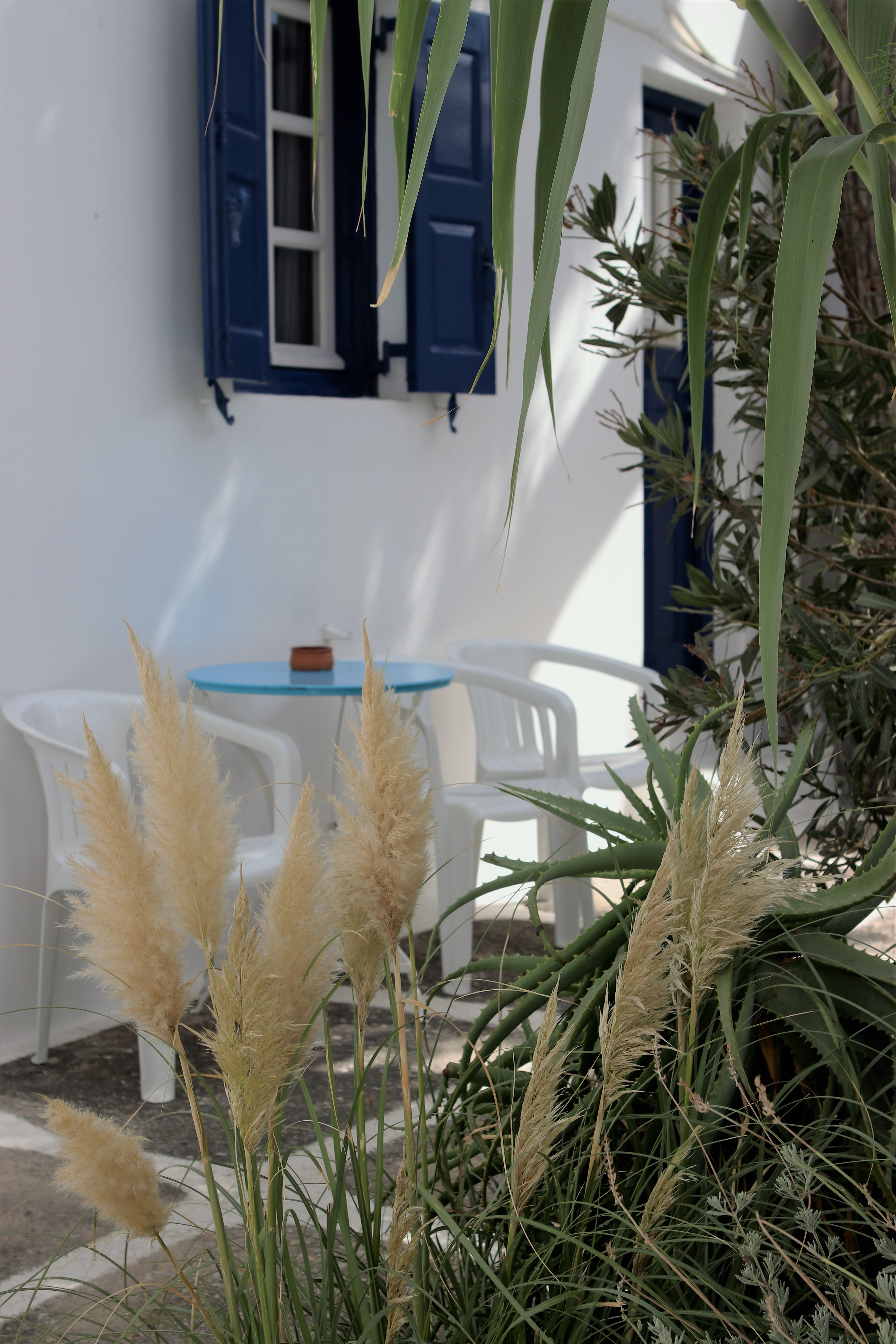 Aphrodite Garden