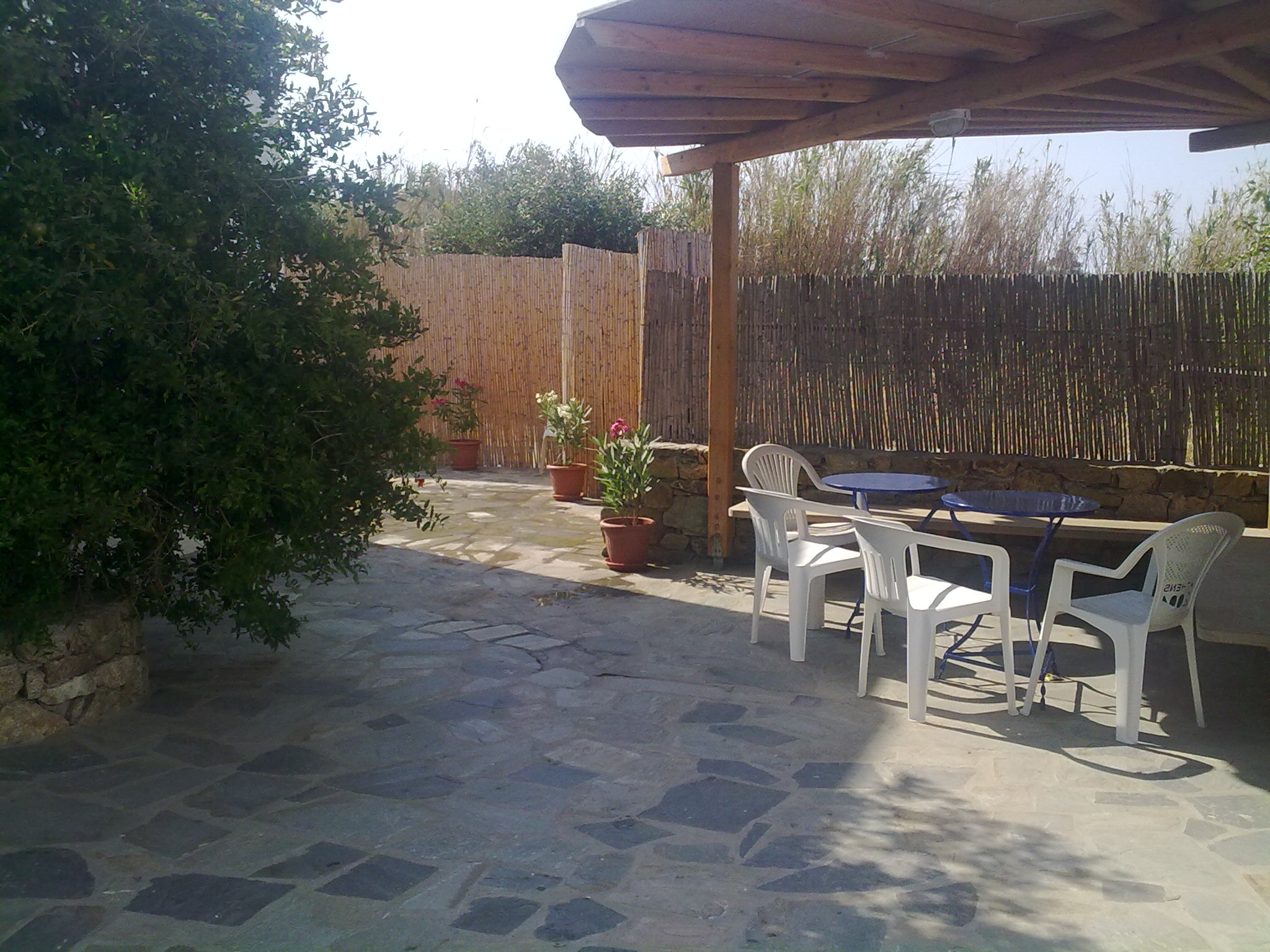 Aphrodite Garden
