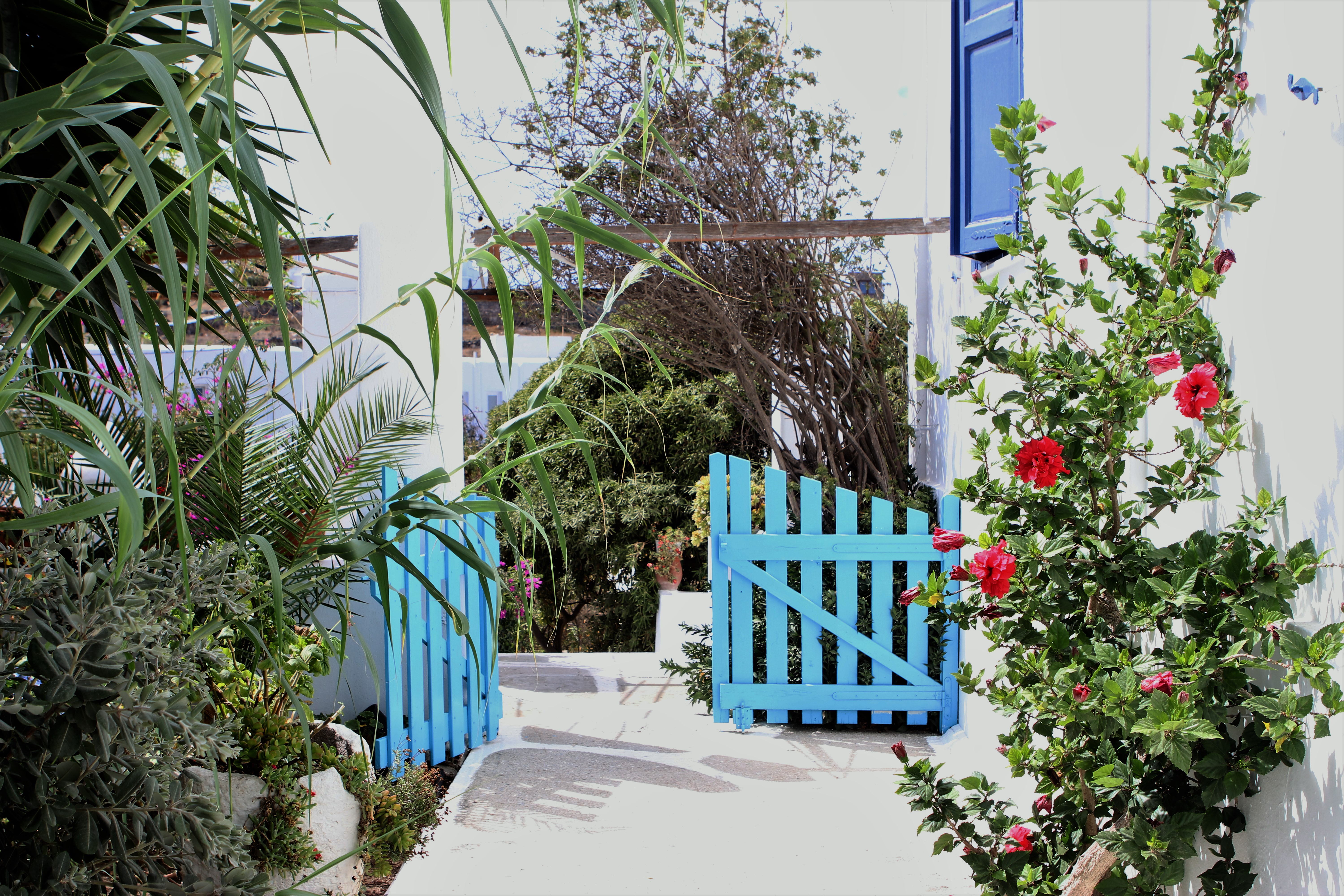 Aphrodite Garden