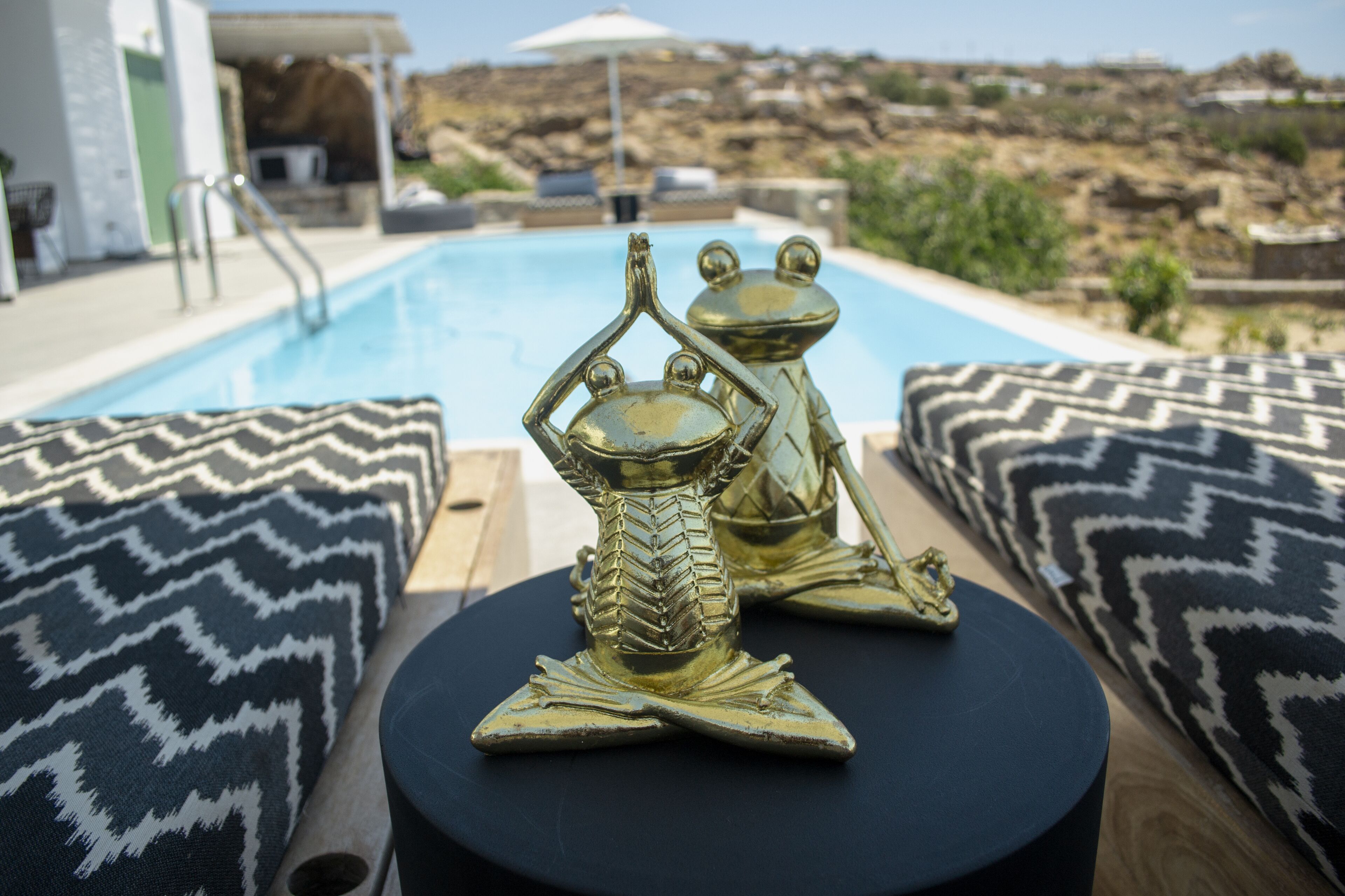 Dioni Mykonos