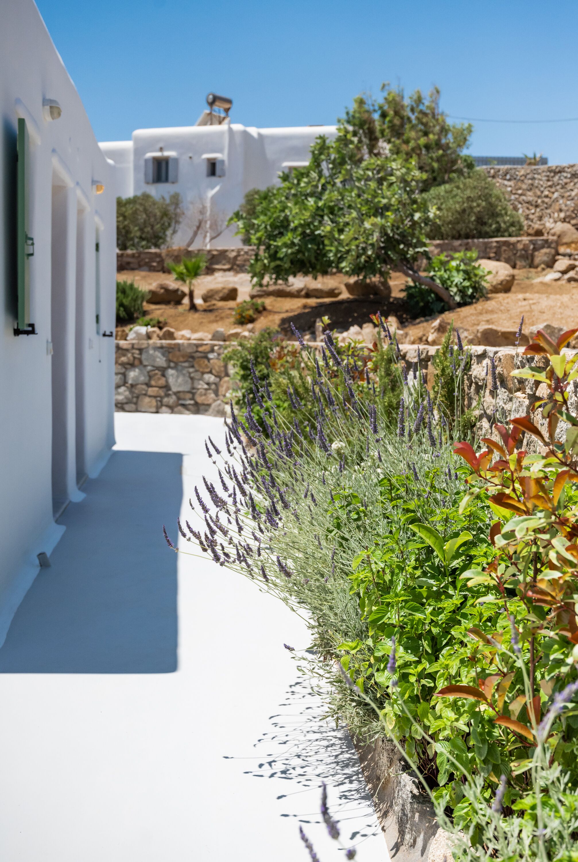 Dioni Mykonos