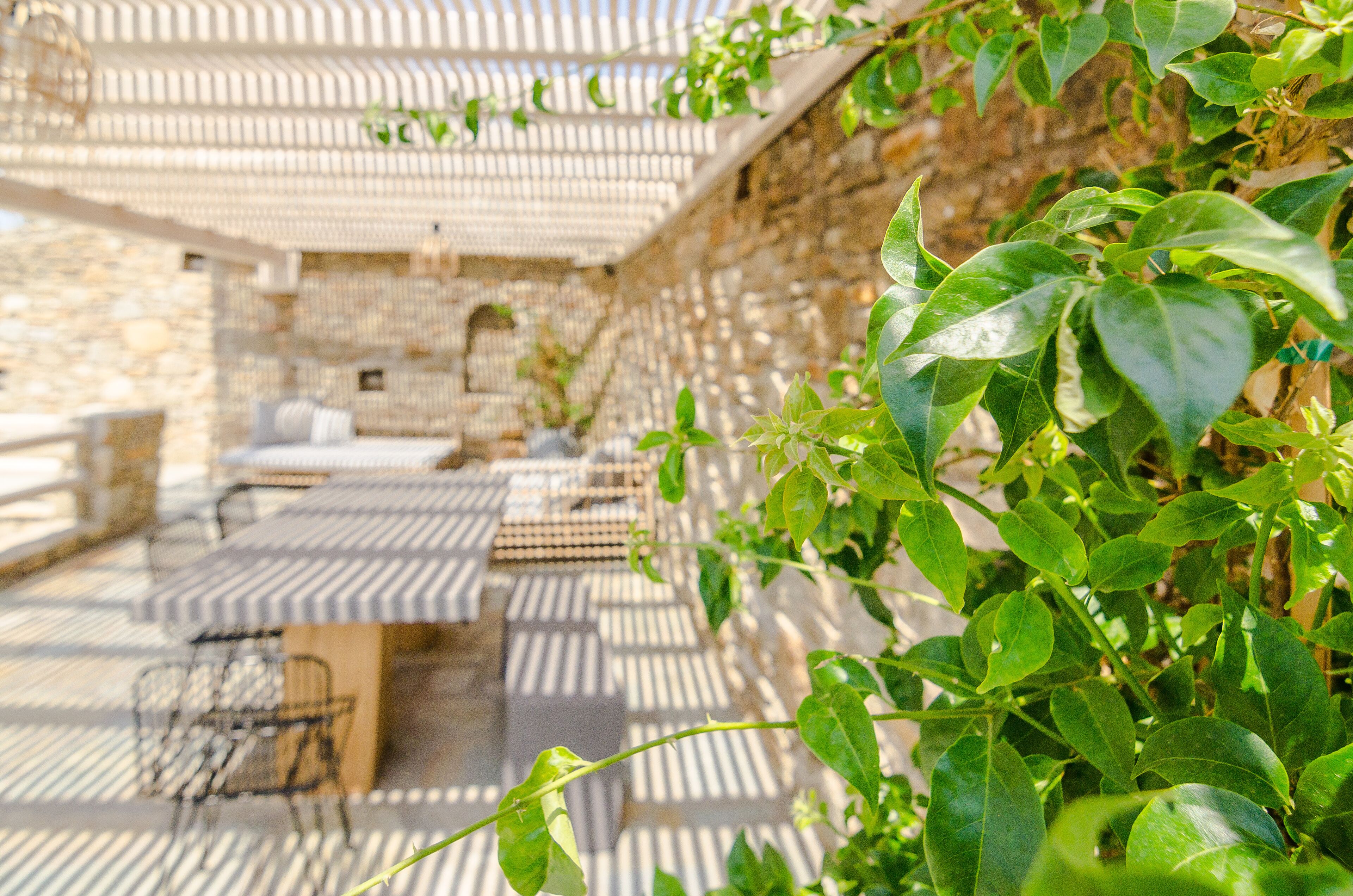 Eden View Mykonos Suites & Residences