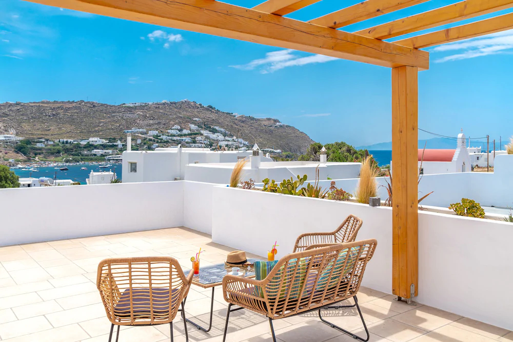 Mykonos Cactus