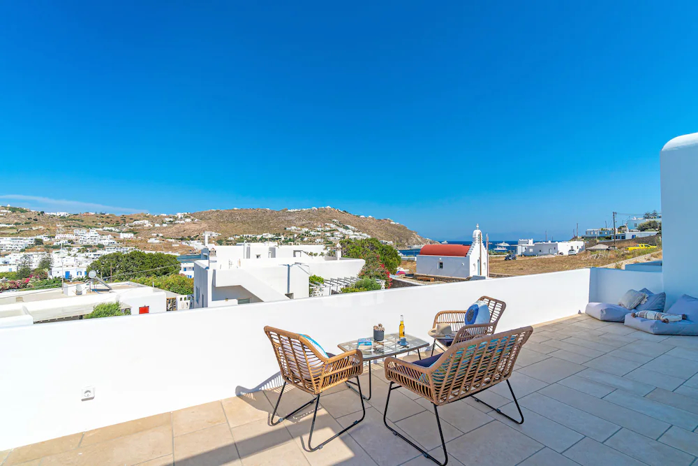 Mykonos Cactus