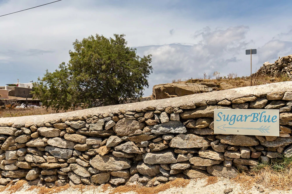 Sugar Blue