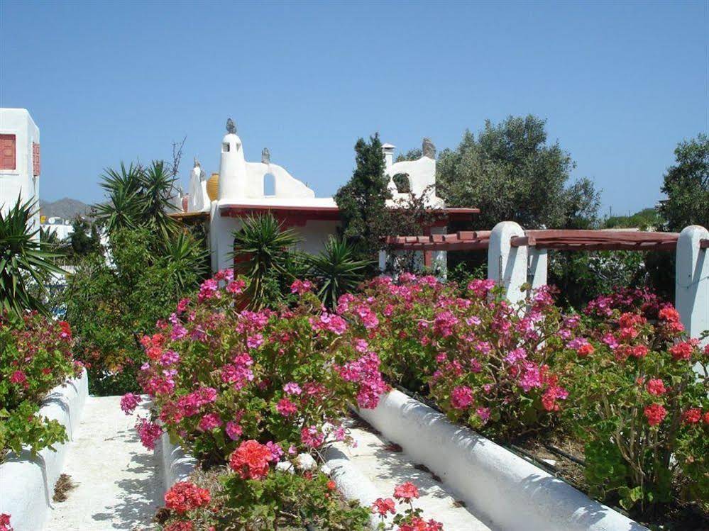 Sun of Mykonos