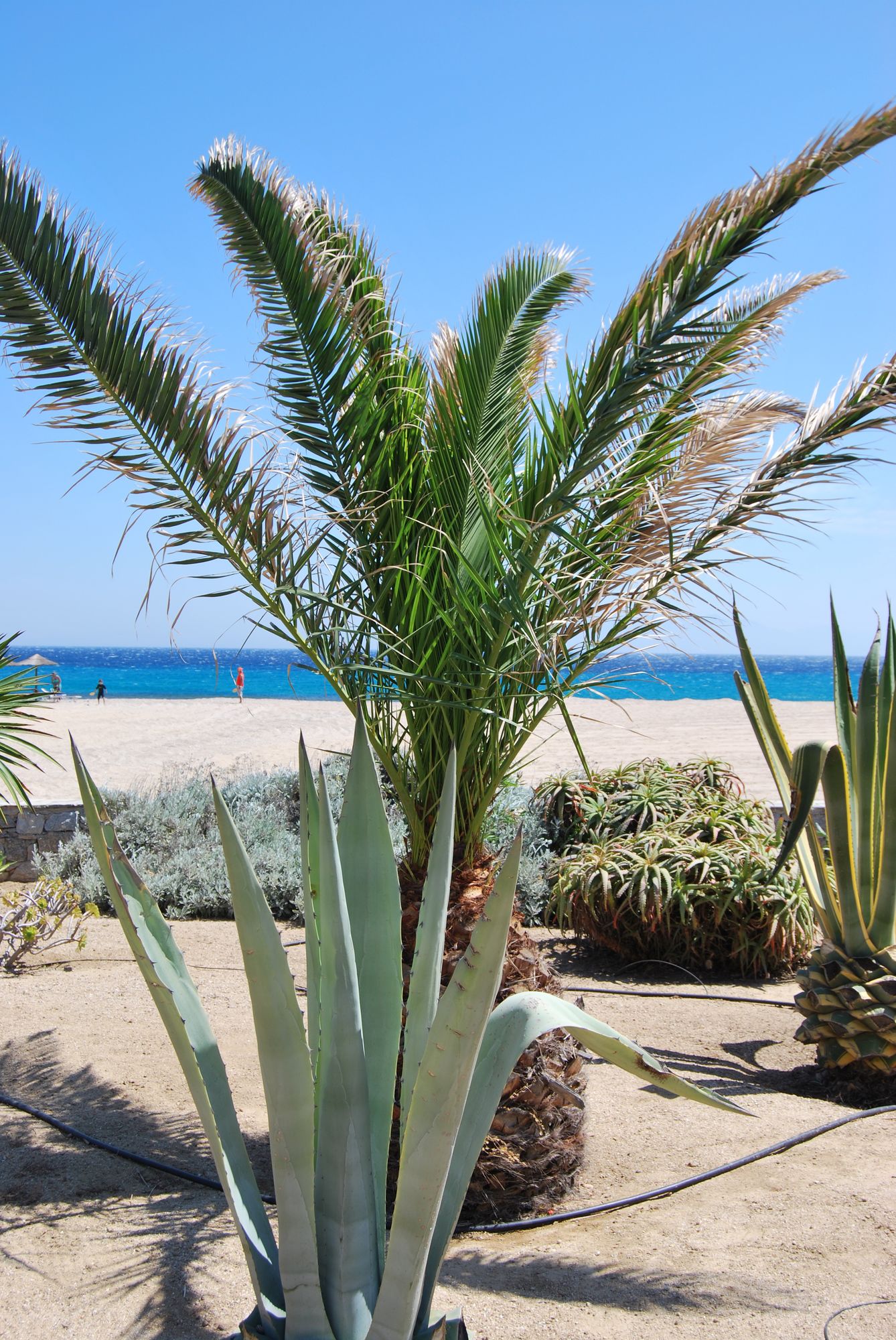 Myconian Sunrise Relais & Chateaux Hotel