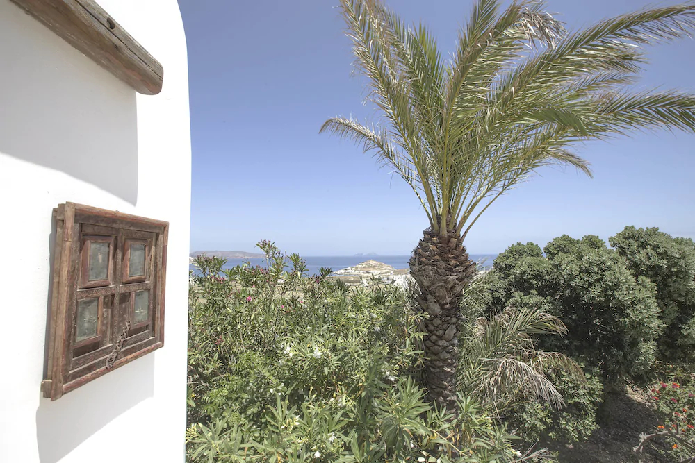 Villa Phoebe