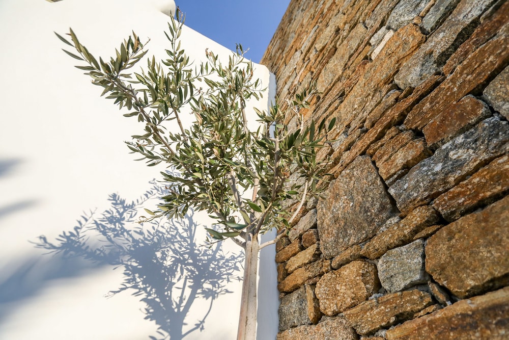 Avra House