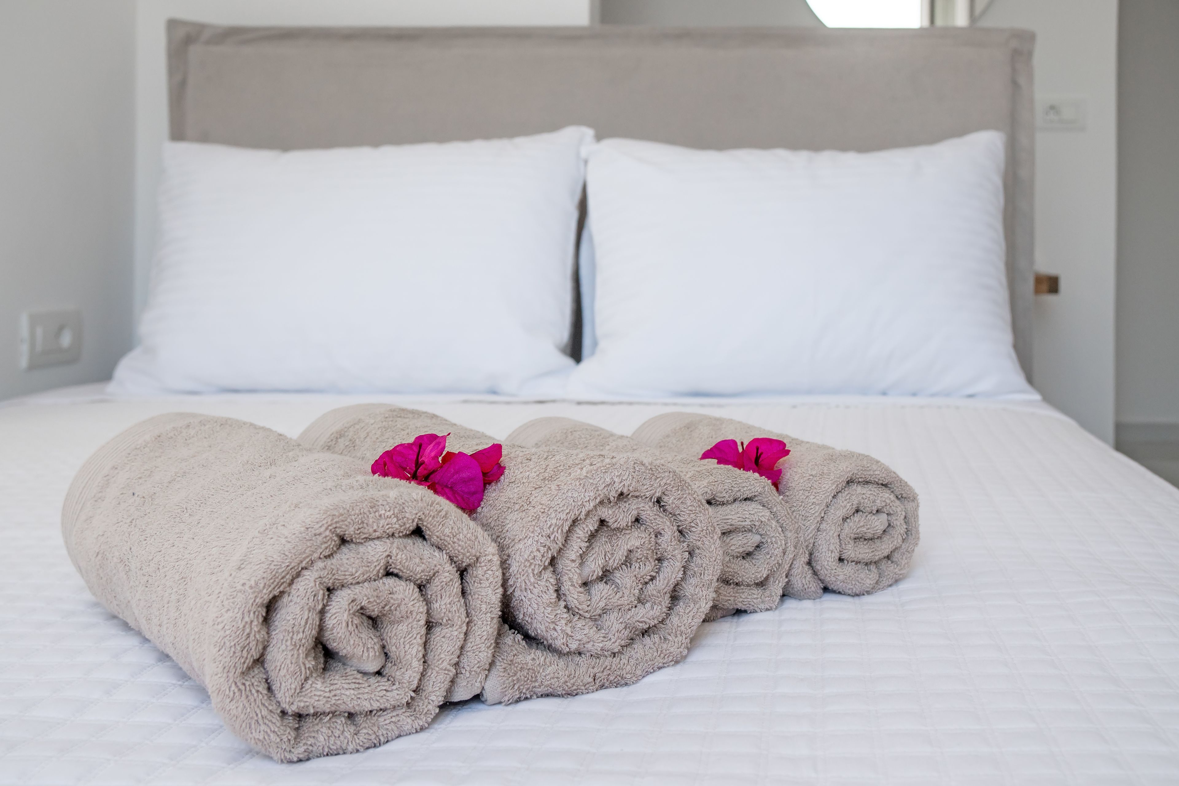 Central Suites