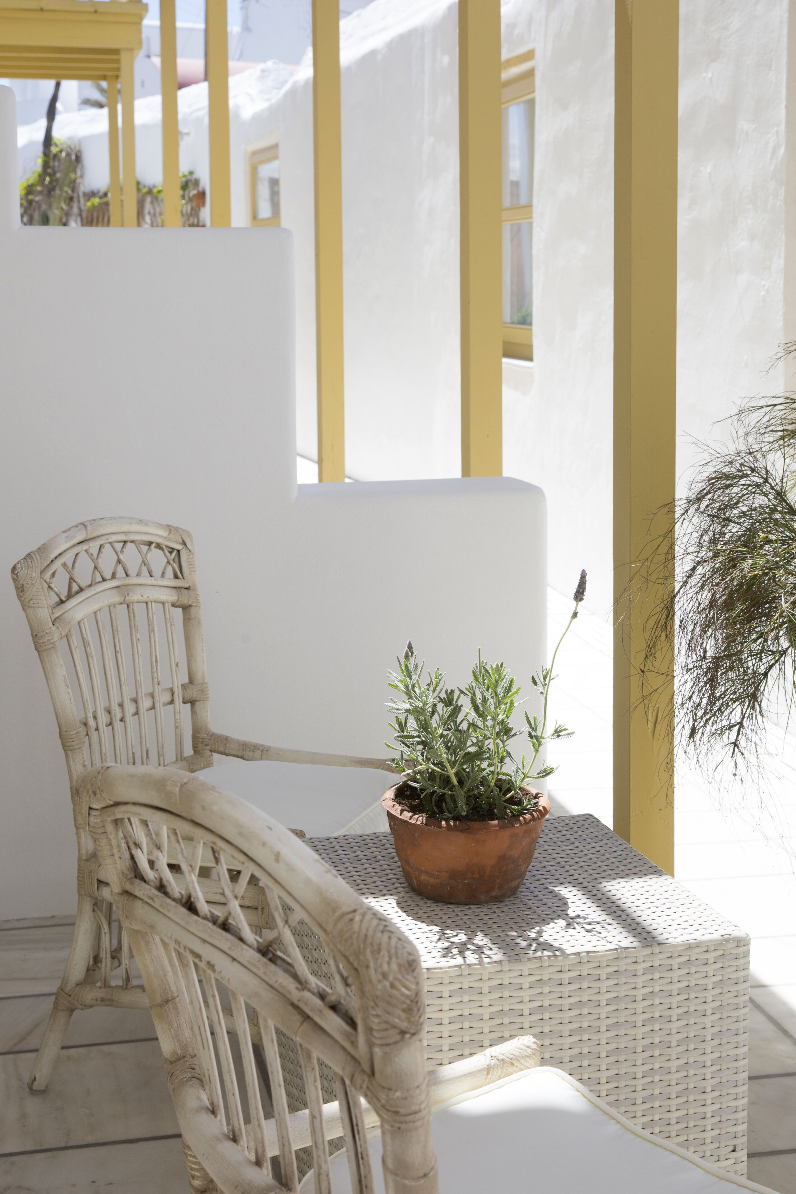Despotikon Hotel Mykonos