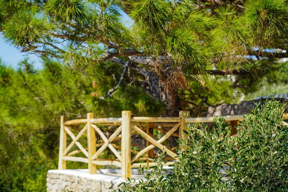 Ikies of Mykonos