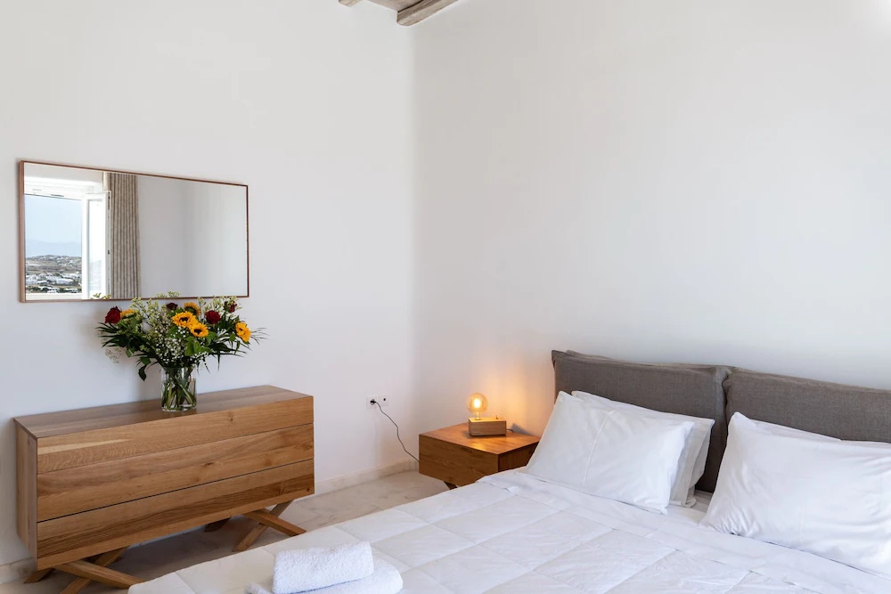 Mykonos Divino