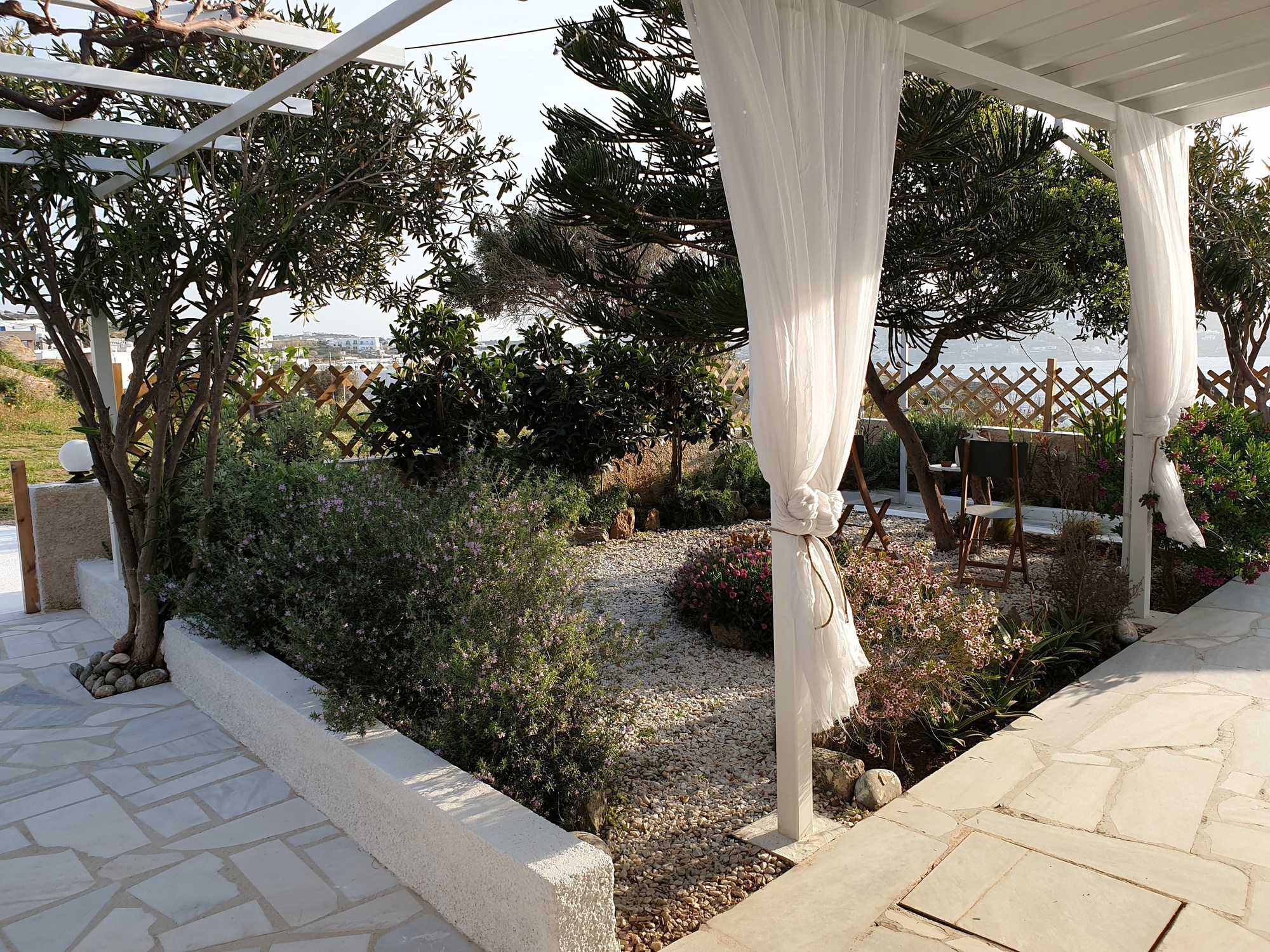 Sand Lily Mykonos